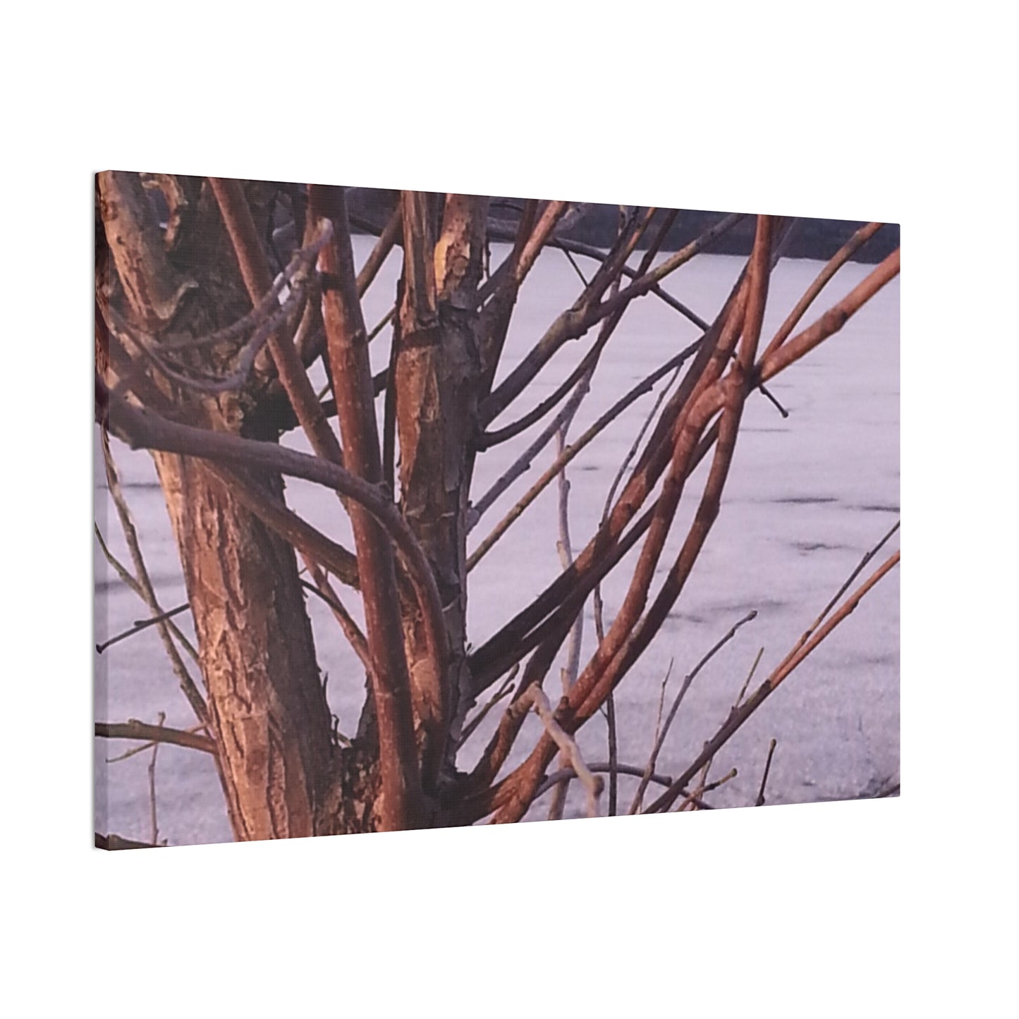 Canvas Wall Art - Nature-inspired - Serene Lake View with Bare Trees