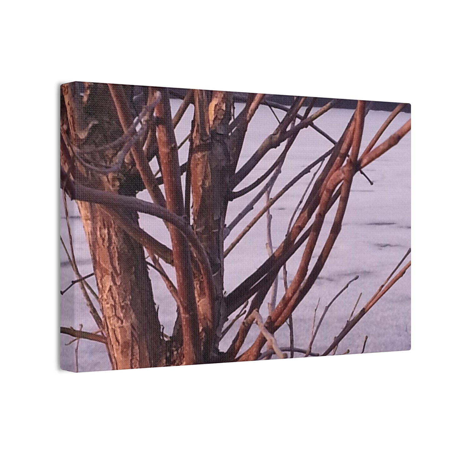 Canvas Wall Art - Nature-inspired - Serene Lake View with Bare Trees