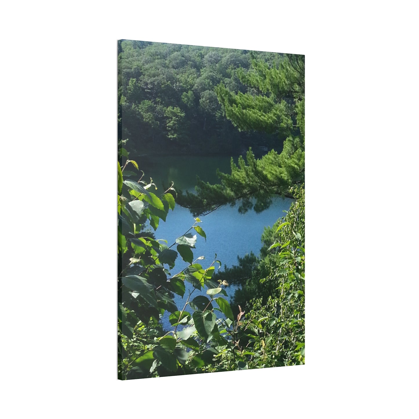 Canvas Art - Nature-inspired Overlooking the Lake