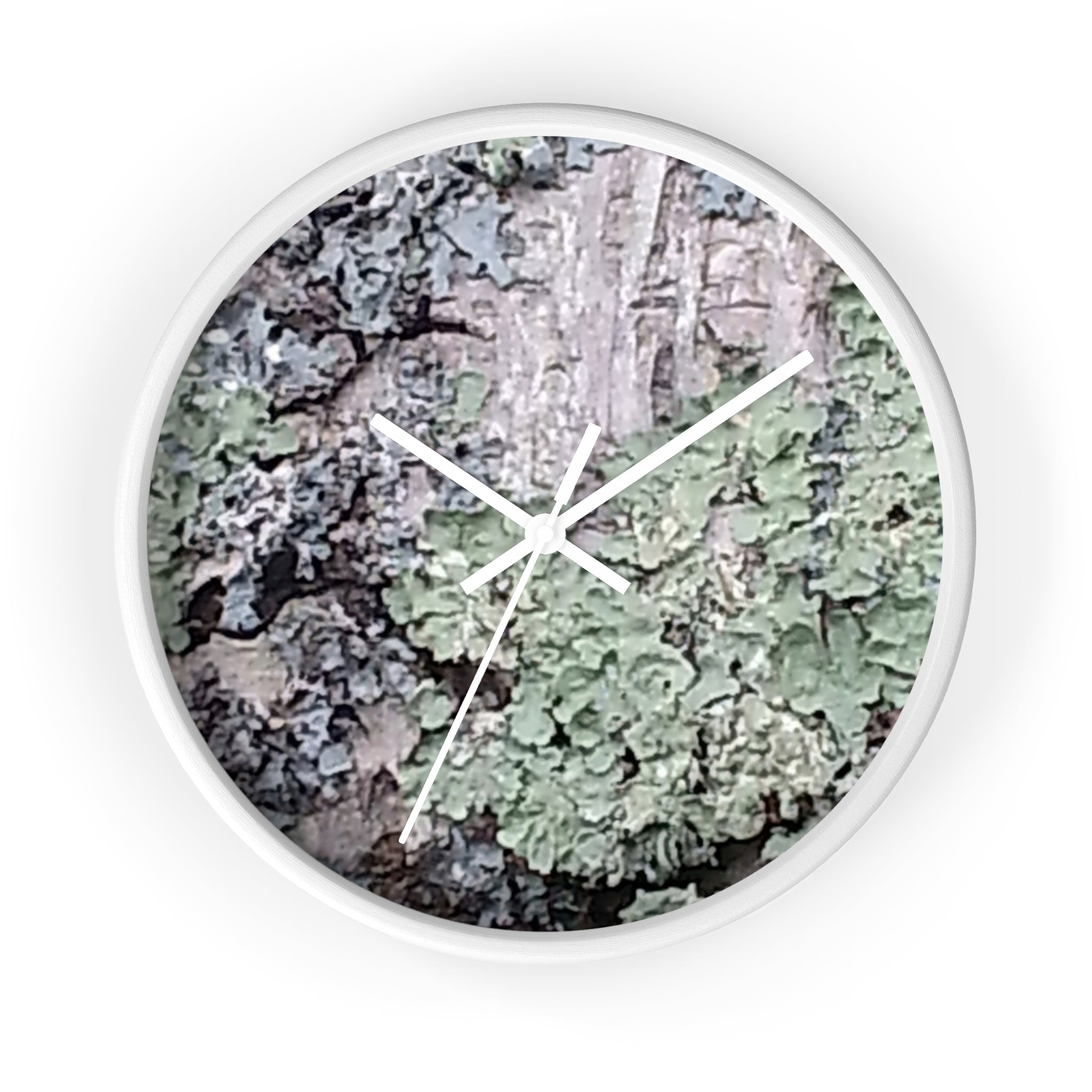 Symbiotic Veneer | Intricate Lichen Growth Silent Wall Clock | The Rooted Collection