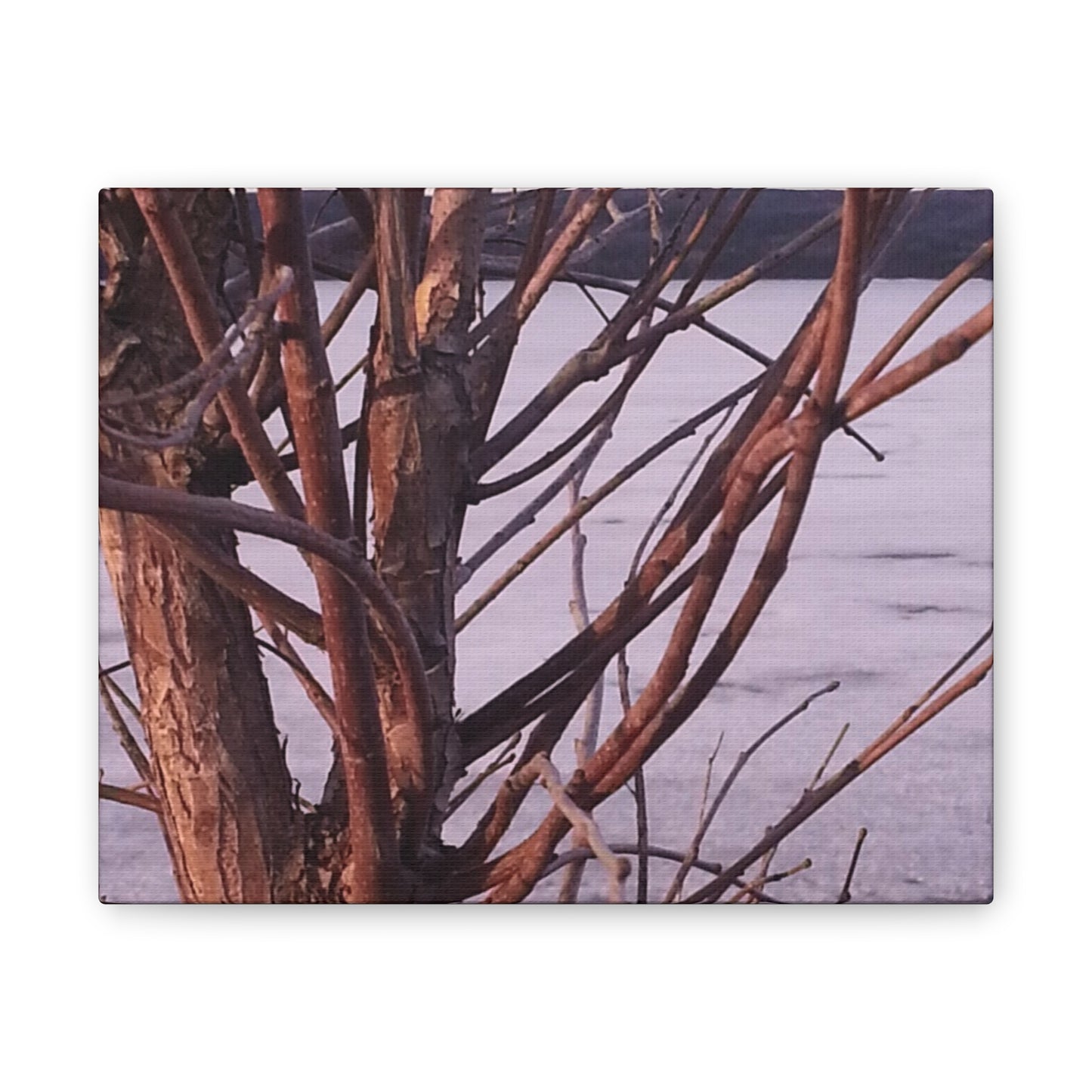 Canvas Wall Art - Nature-inspired - Serene Lake View with Bare Trees