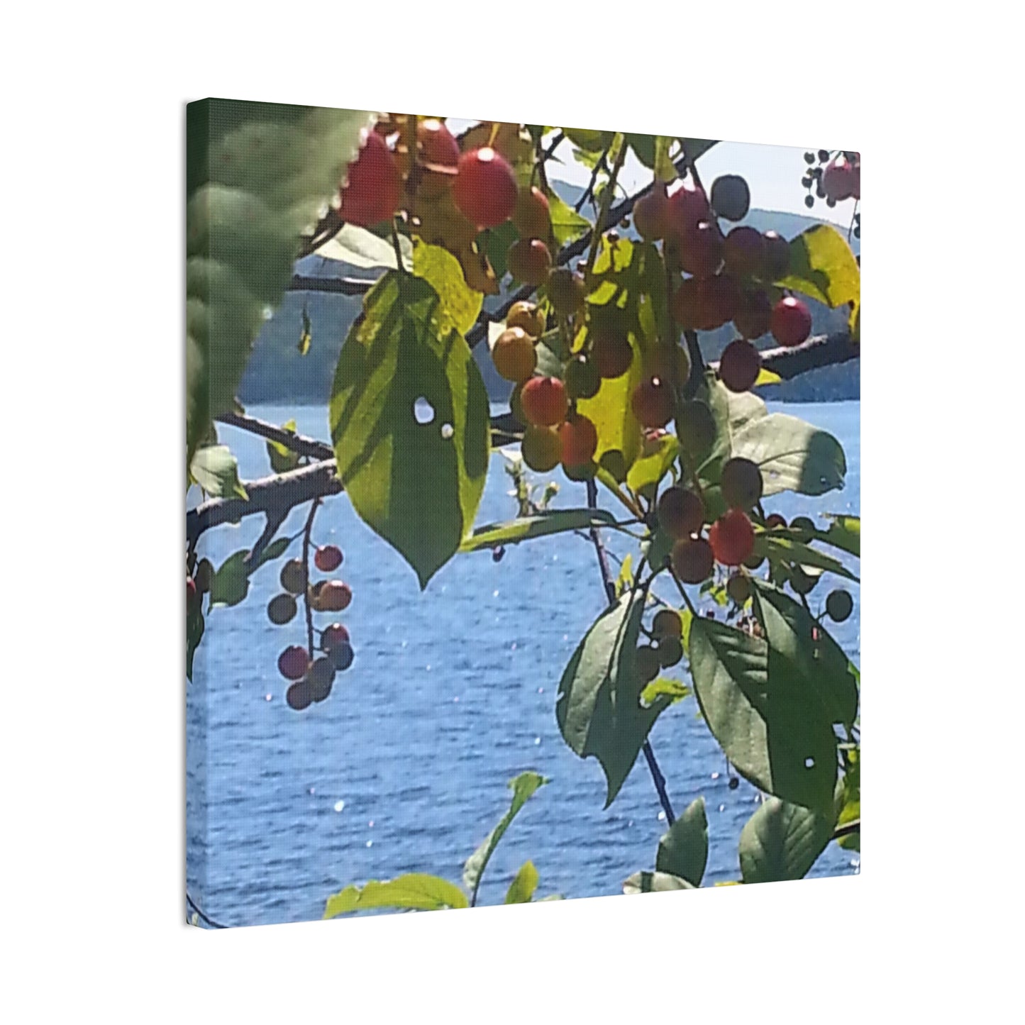 Canvas Art  Nature-Inspired - Scenic Berry Branch