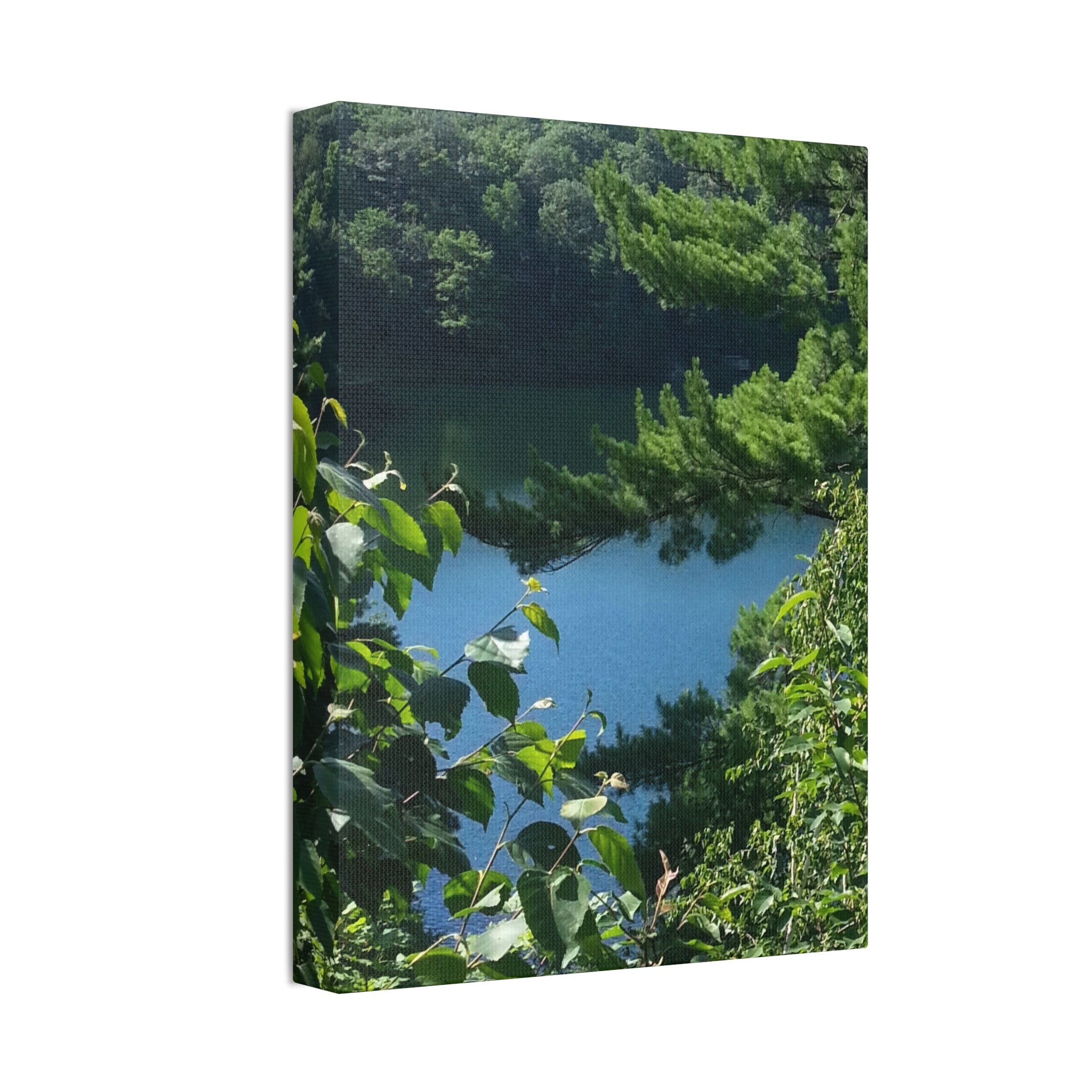 Lakeside Root | Still Water Reflection Wall Art | The Rooted Collection