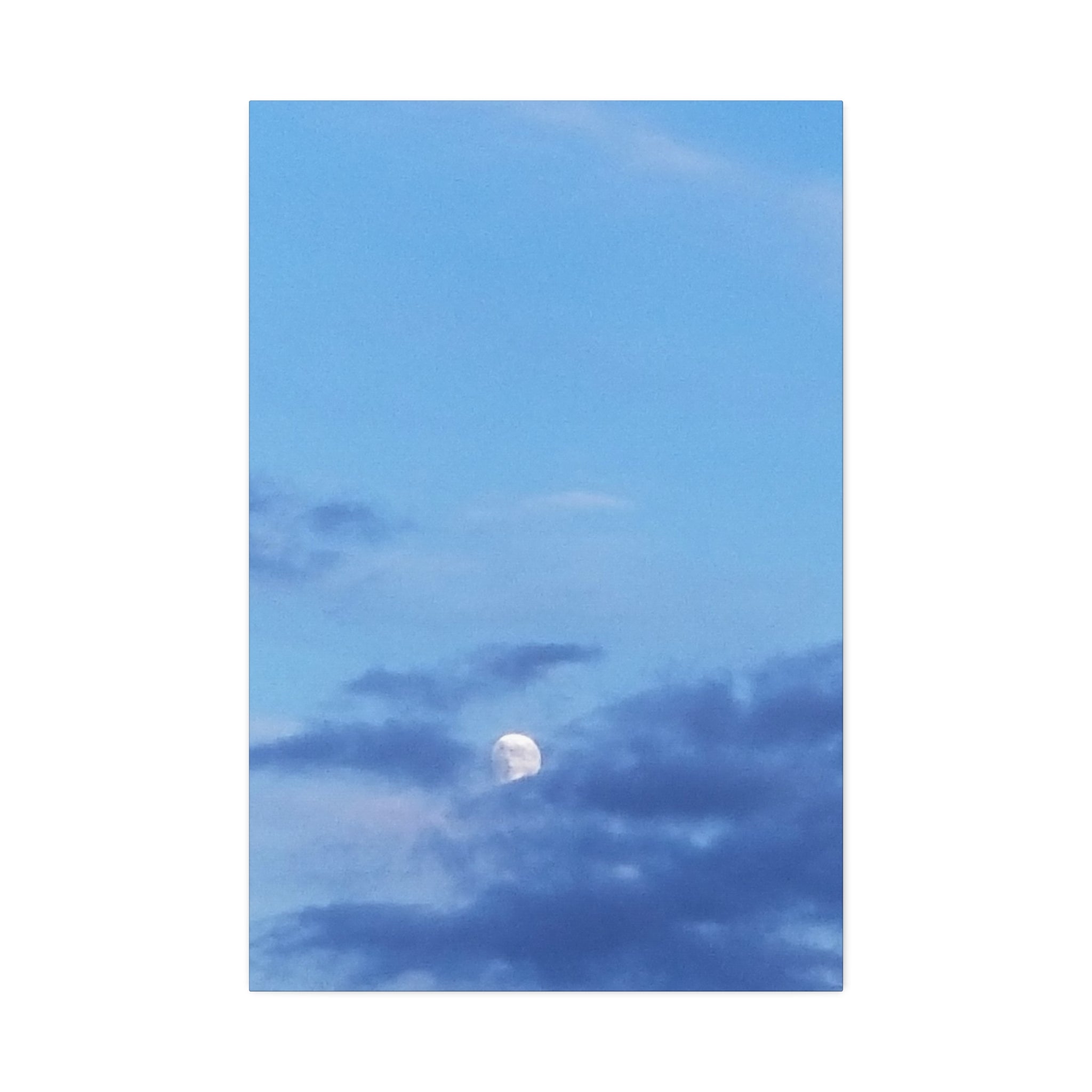 Celestial Wild | Hushed Lunar Firmament Wall Art | The Inspiration Collection