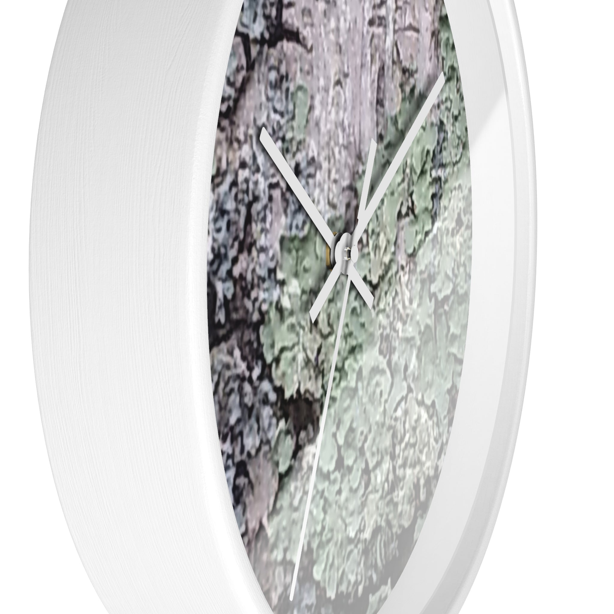Symbiotic Veneer | Intricate Lichen Growth Silent Wall Clock | The Rooted Collection