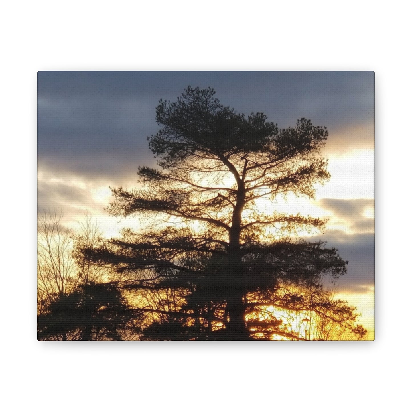 Canvas Art Print - Sunset Tree