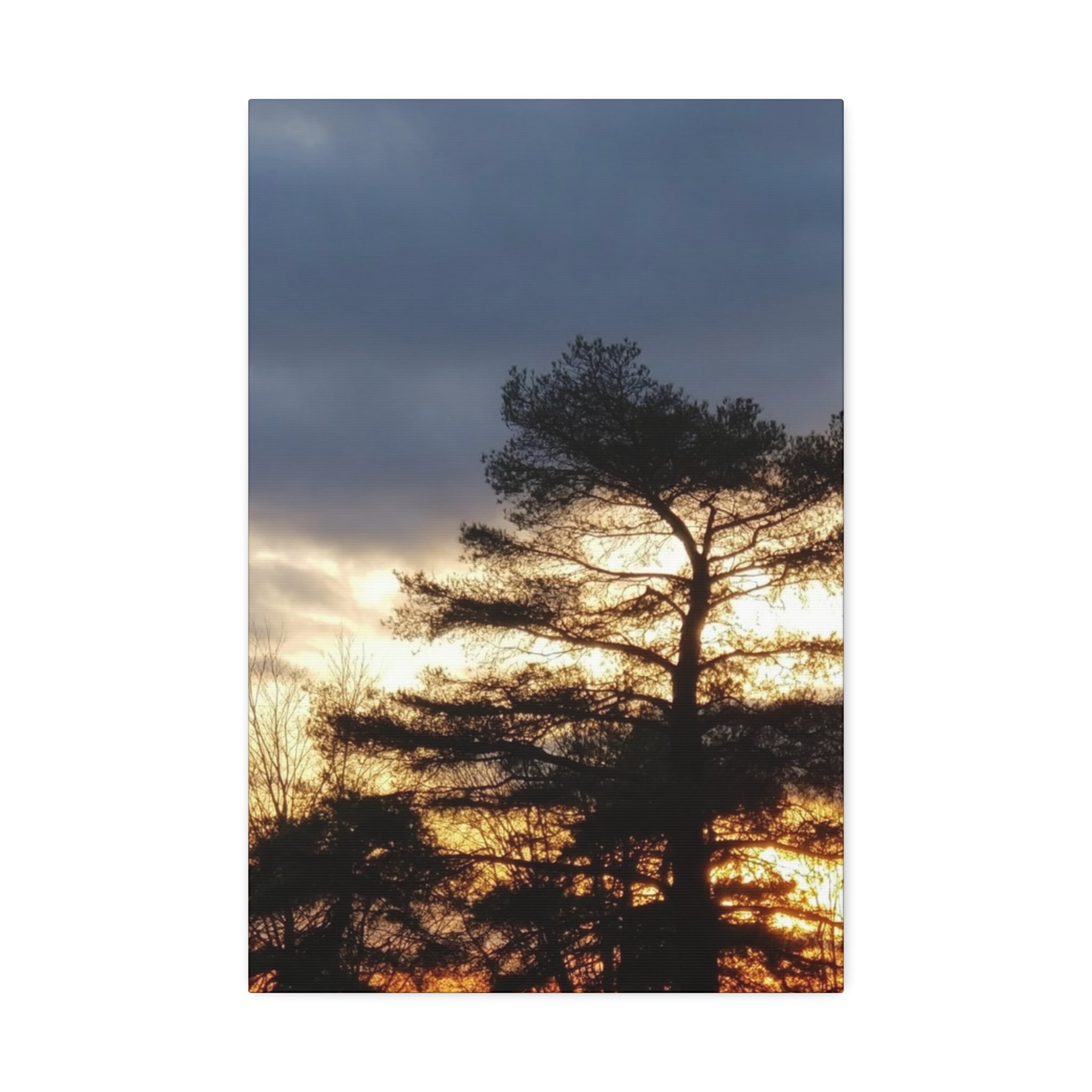 Grounded Vitality | Sunset Tree Silhouette Wall Art | The Flow Collection