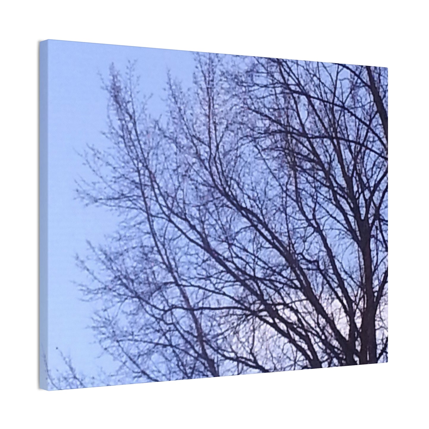 Canvas Art - Serene Tree