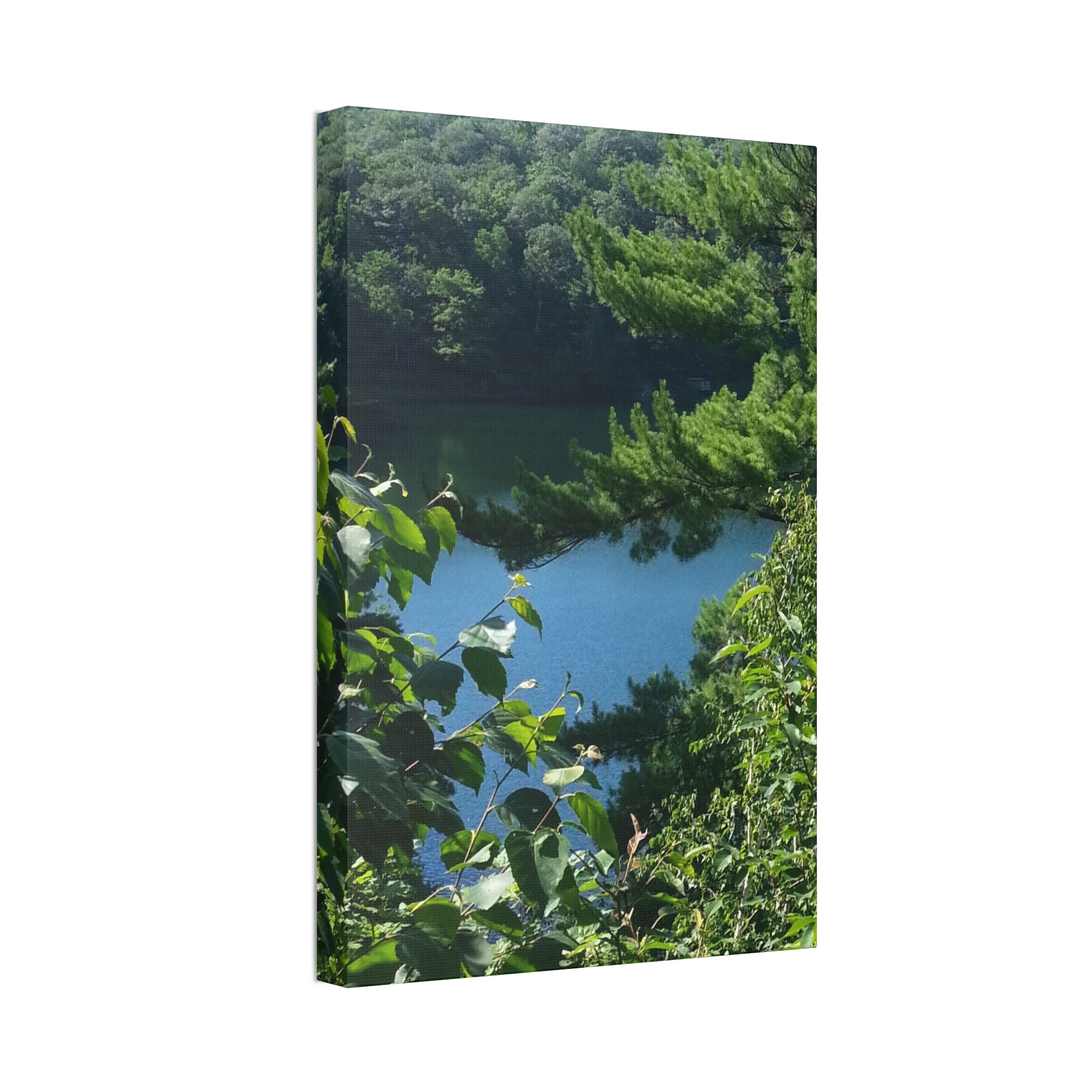 Lakeside Root | Still Water Reflection Wall Art | The Rooted Collection