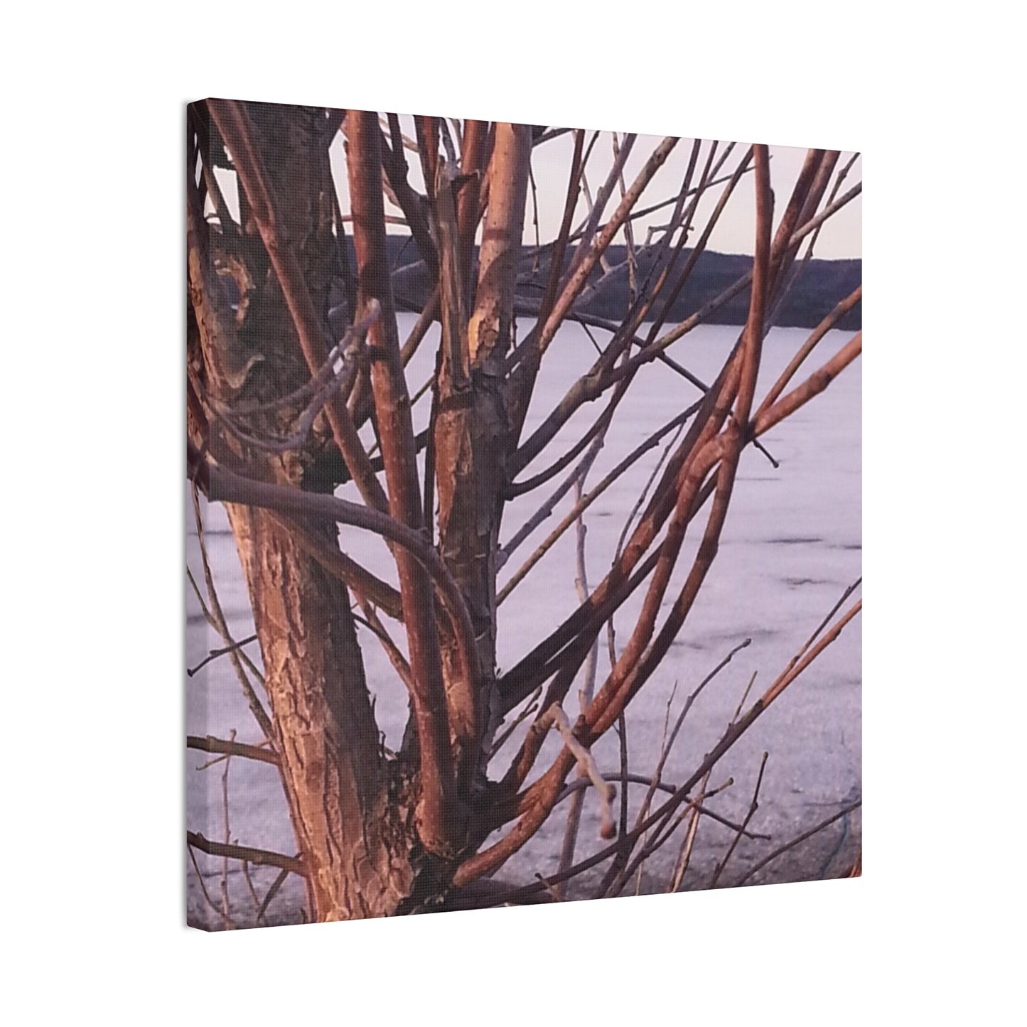 Canvas Wall Art - Nature-inspired - Serene Lake View with Bare Trees