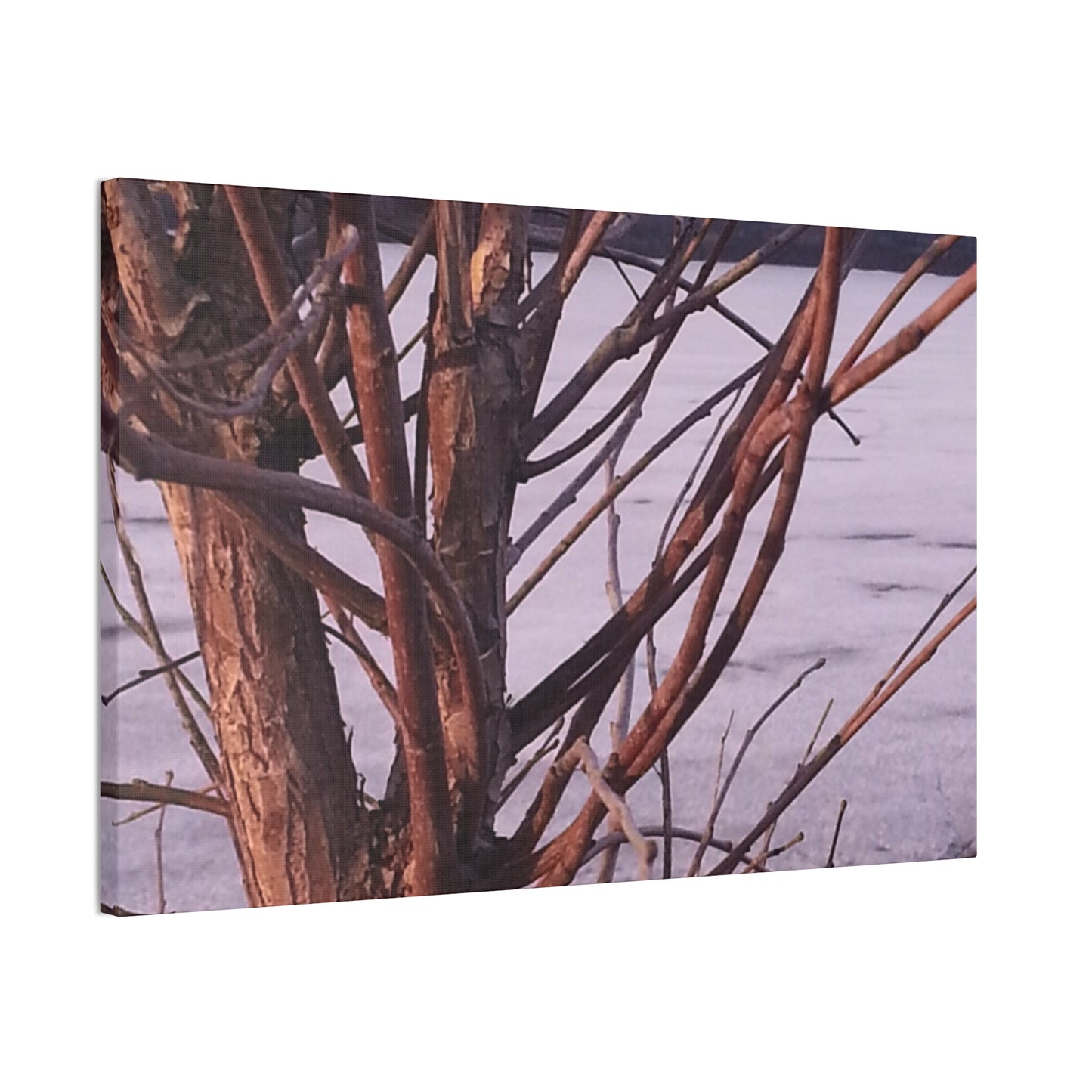 Canvas Wall Art - Nature-inspired - Serene Lake View with Bare Trees