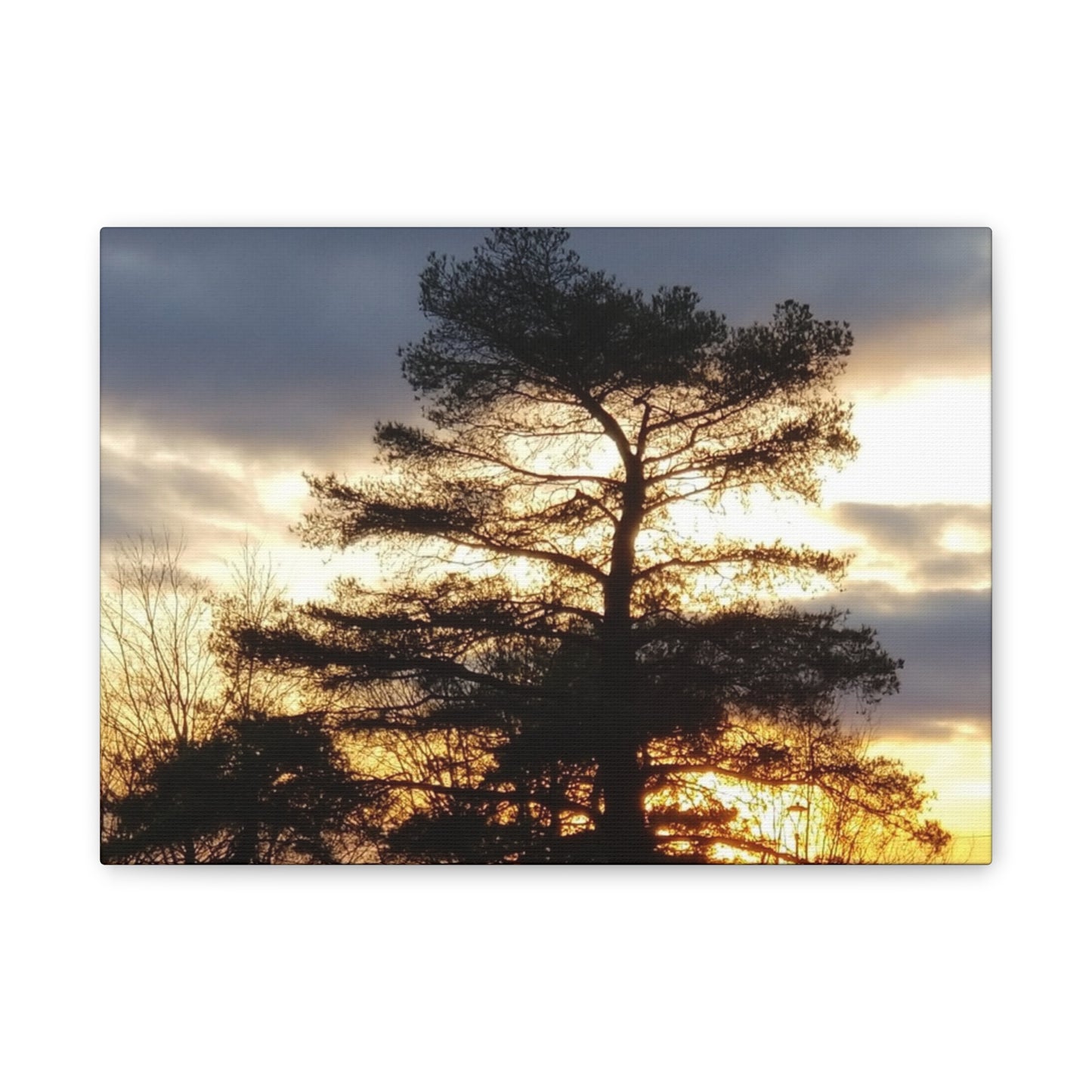 Canvas Art Print - Sunset Tree