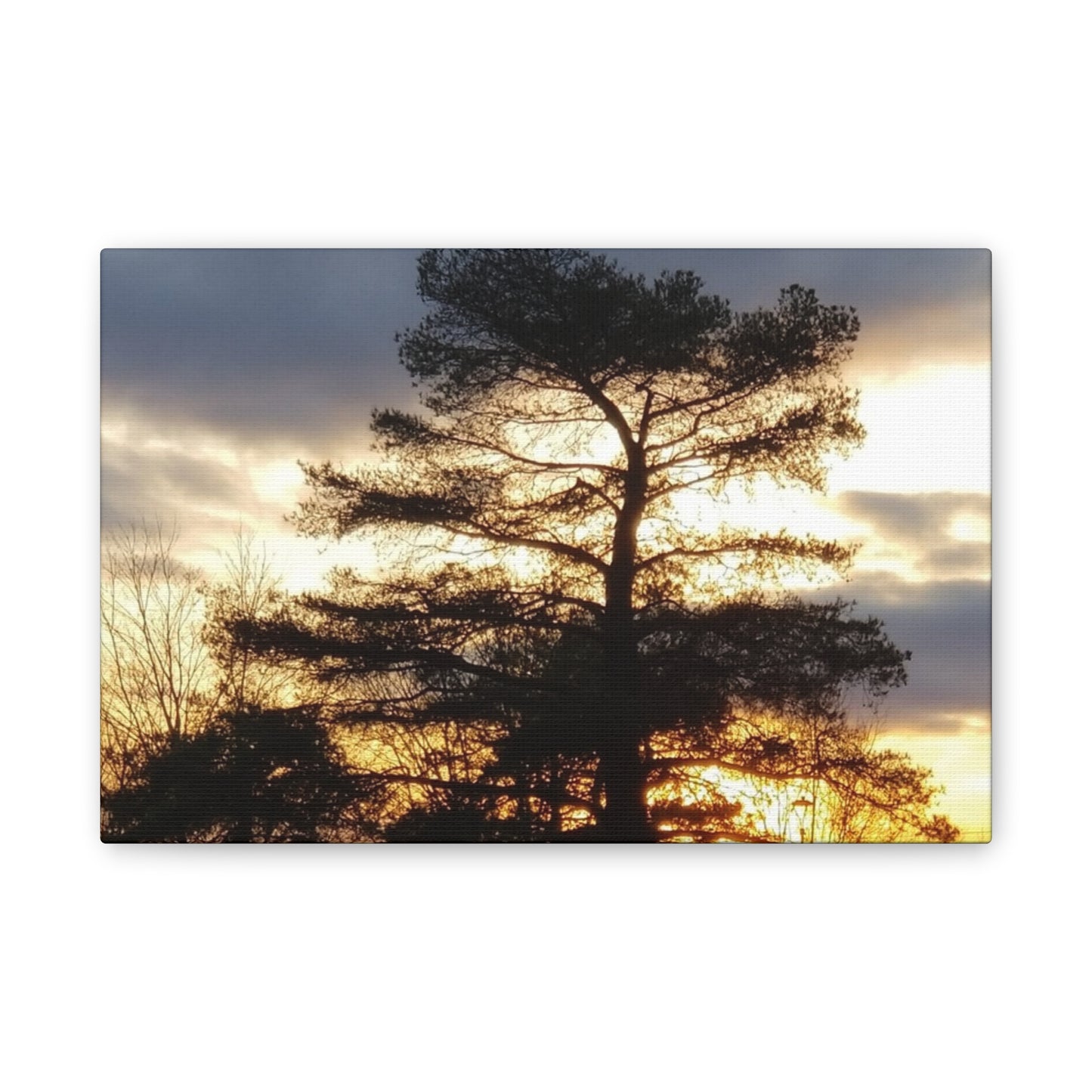 Canvas Art Print - Sunset Tree