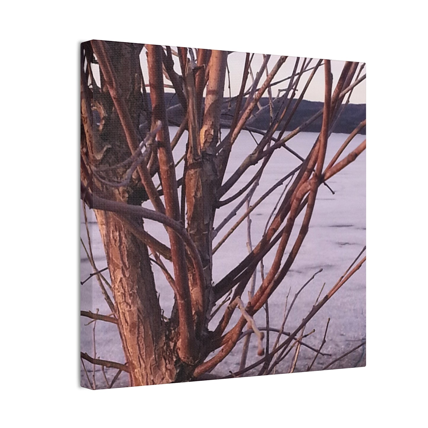 Canvas Wall Art - Nature-inspired - Serene Lake View with Bare Trees