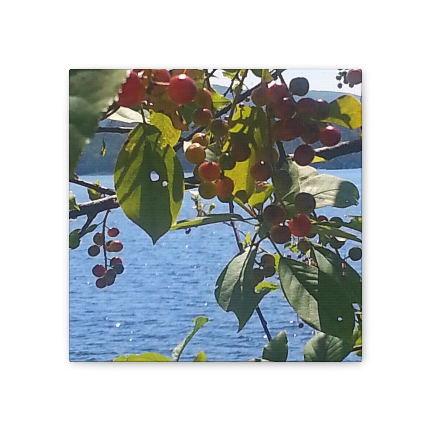 Canvas Art  Nature-Inspired - Scenic Berry Branch