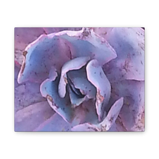 Canvas Art Print Botanical - Serene Floral Wall Decor