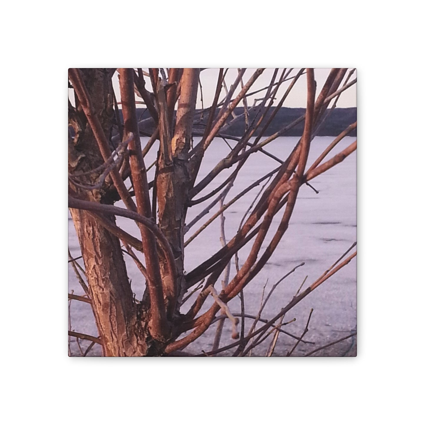 Canvas Wall Art - Nature-inspired - Serene Lake View with Bare Trees