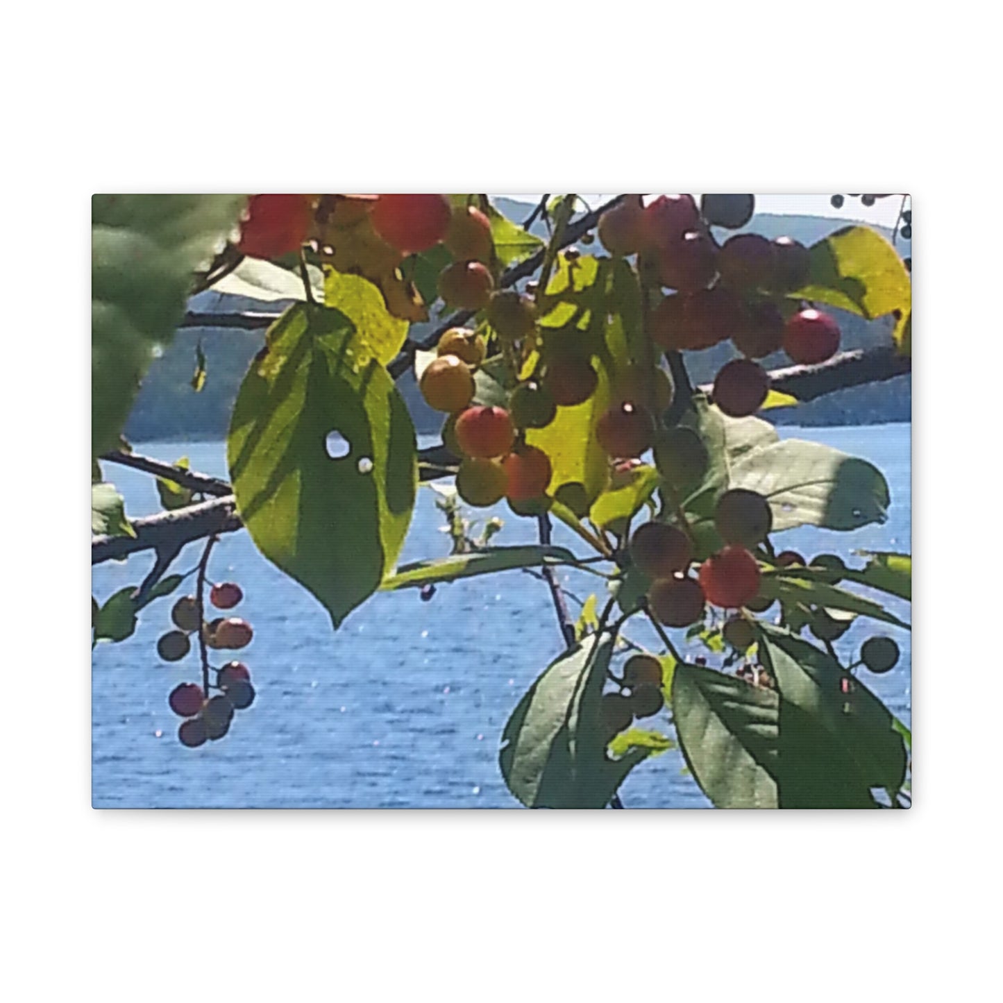 Canvas Art  Nature-Inspired - Scenic Berry Branch