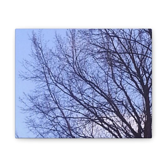 Canvas Art - Serene Tree