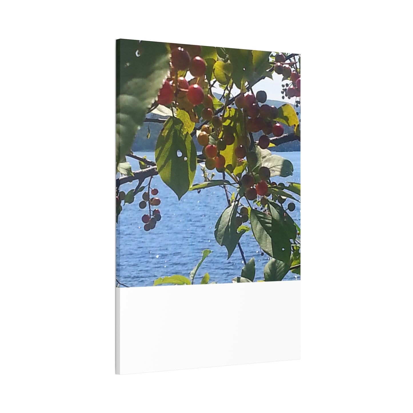 Canvas Art  Nature-Inspired - Scenic Berry Branch