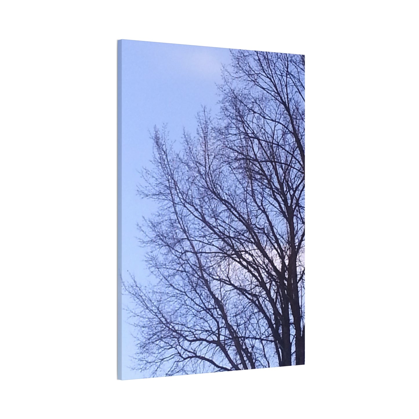 Canvas Art - Serene Tree