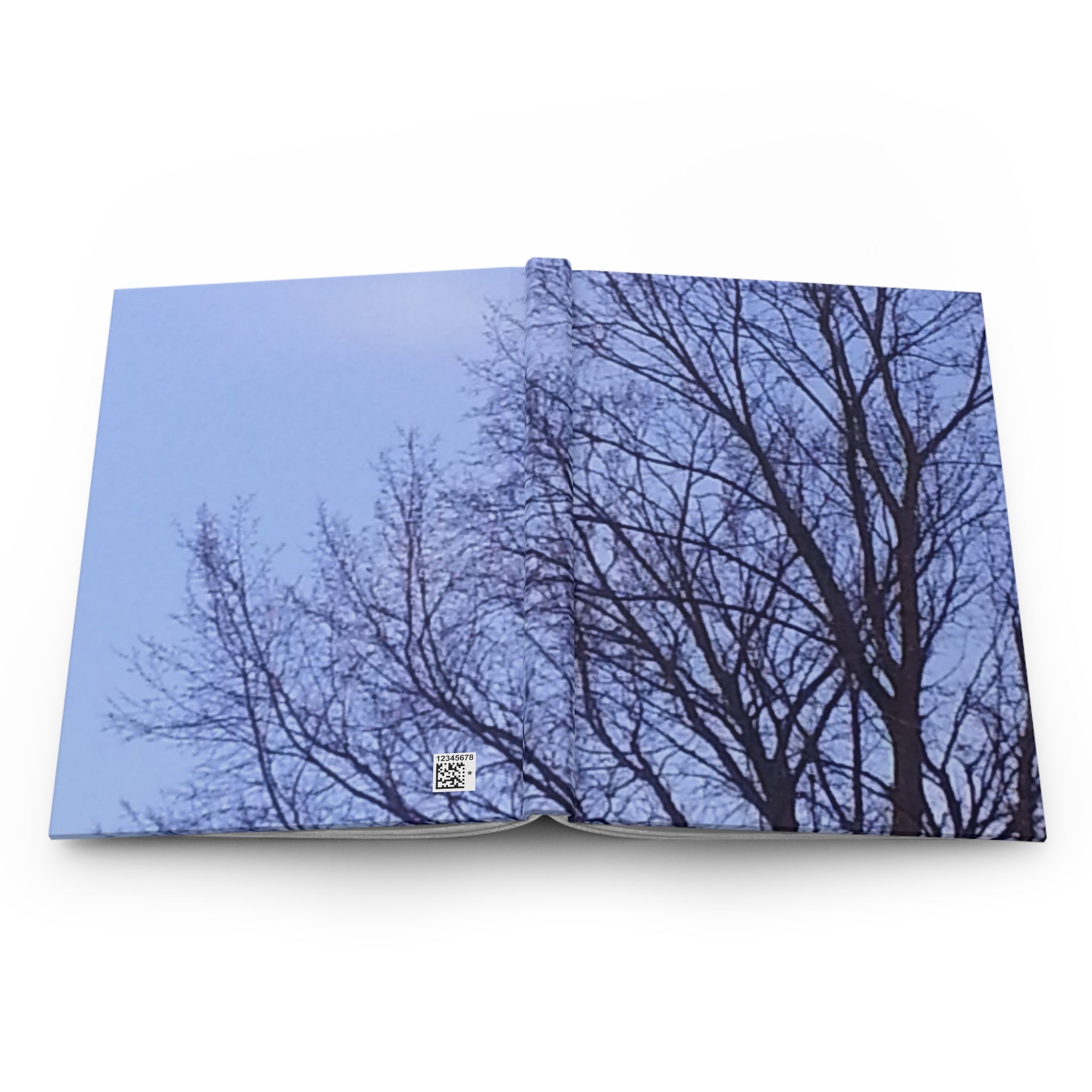 Silent Stratos | Sapphire Horizon Nature Journal | The Nurture Collection