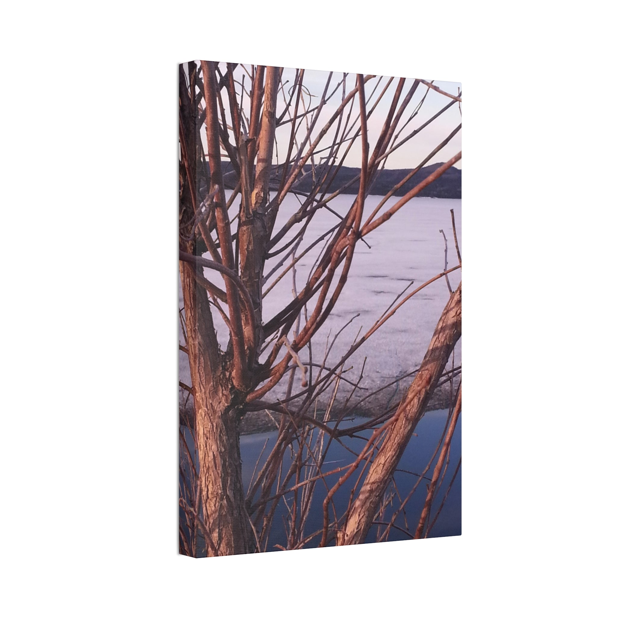 Primal Frost | Frozen Shoreline Wall Art | The Inspiration Collection