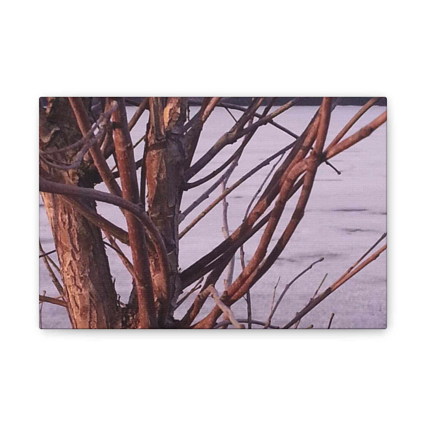 Canvas Wall Art - Nature-inspired - Serene Lake View with Bare Trees