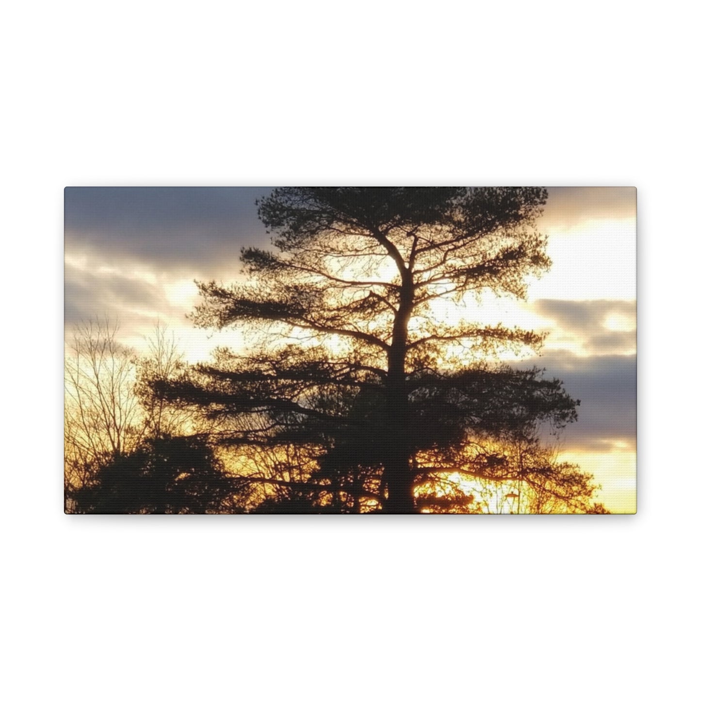 Canvas Art Print - Sunset Tree