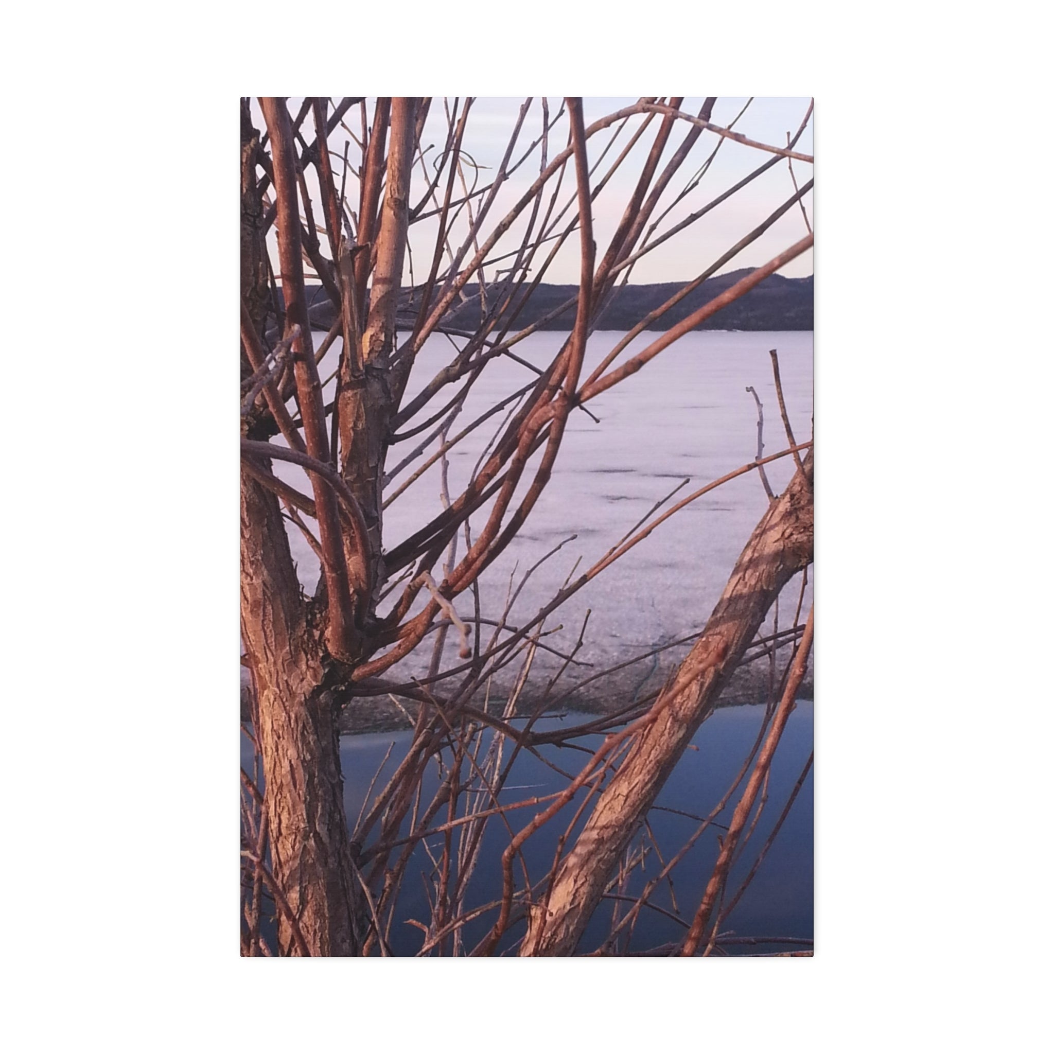 Primal Frost | Frozen Shoreline Wall Art | The Inspiration Collection