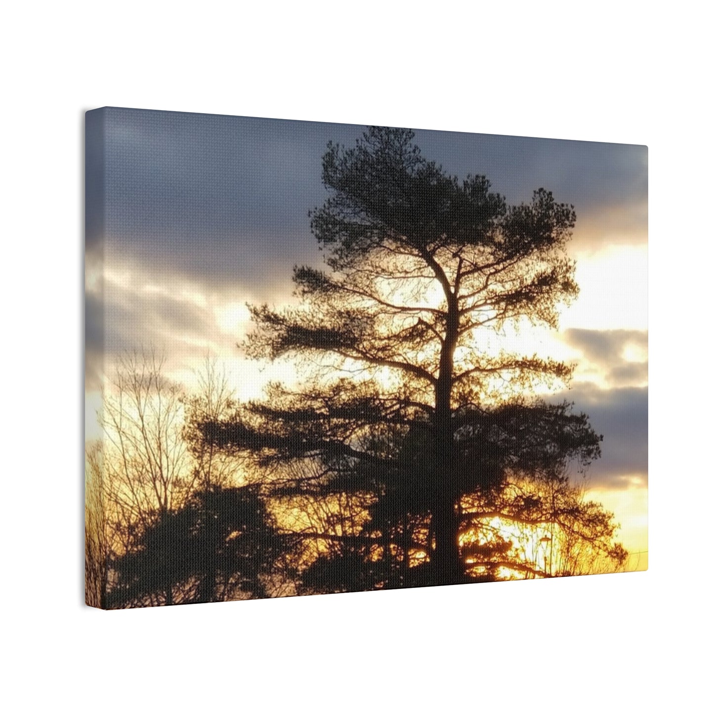 Canvas Art Print - Sunset Tree