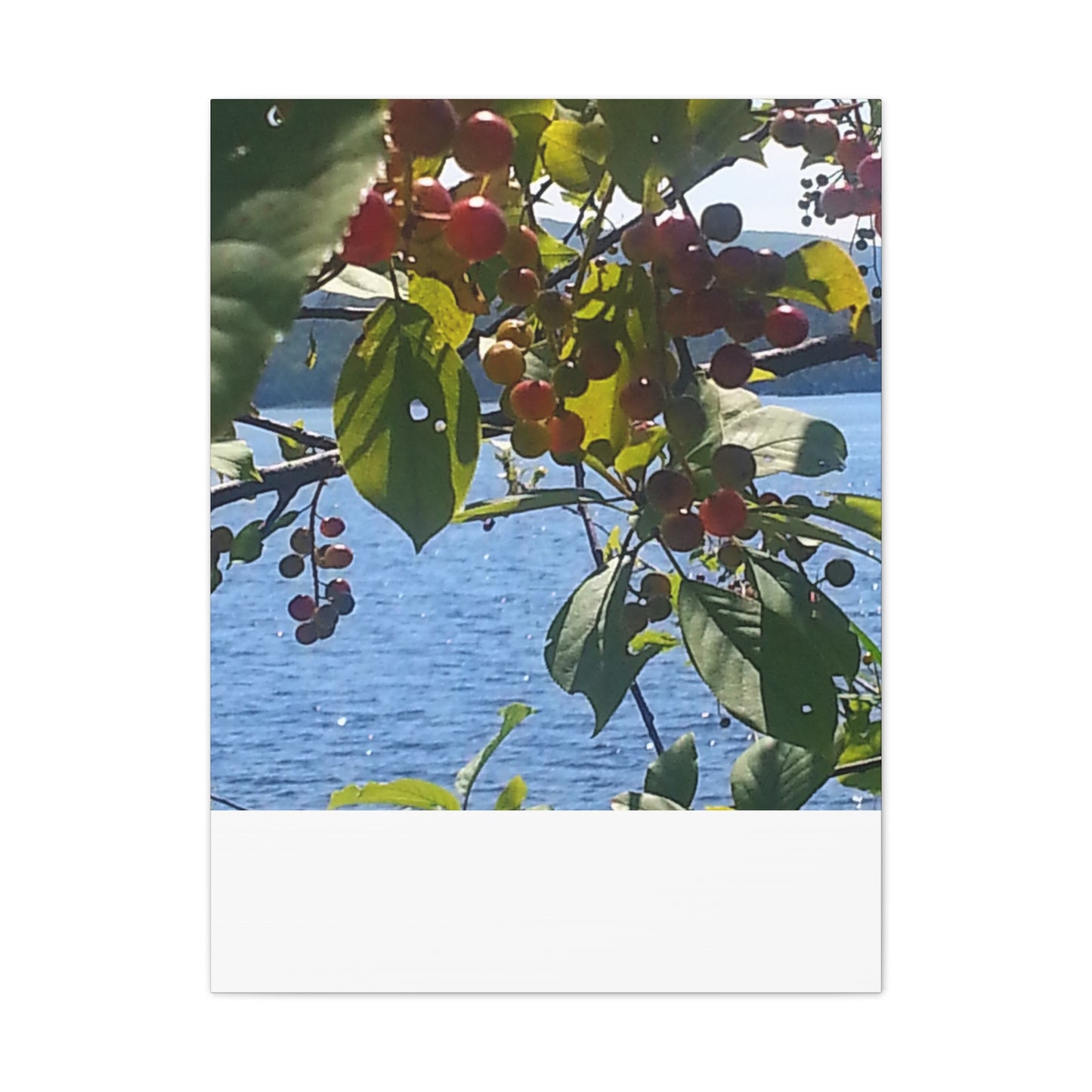 Canvas Art  Nature-Inspired - Scenic Berry Branch