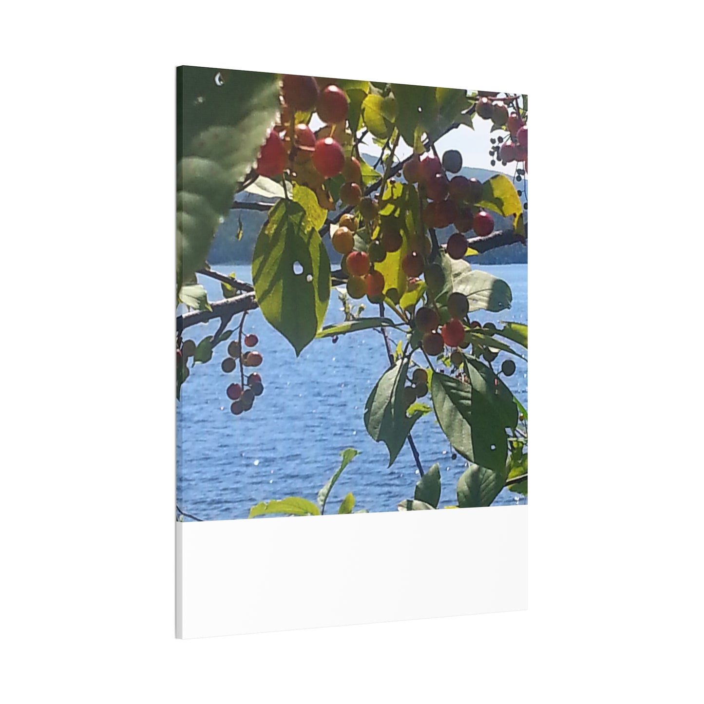 Canvas Art  Nature-Inspired - Scenic Berry Branch