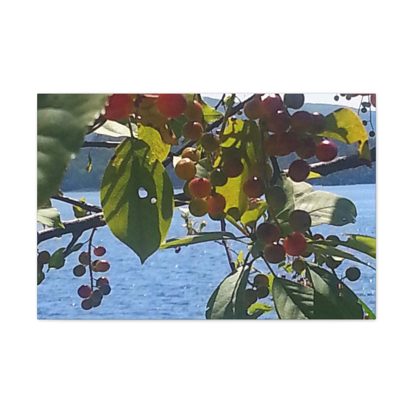 Canvas Art  Nature-Inspired - Scenic Berry Branch