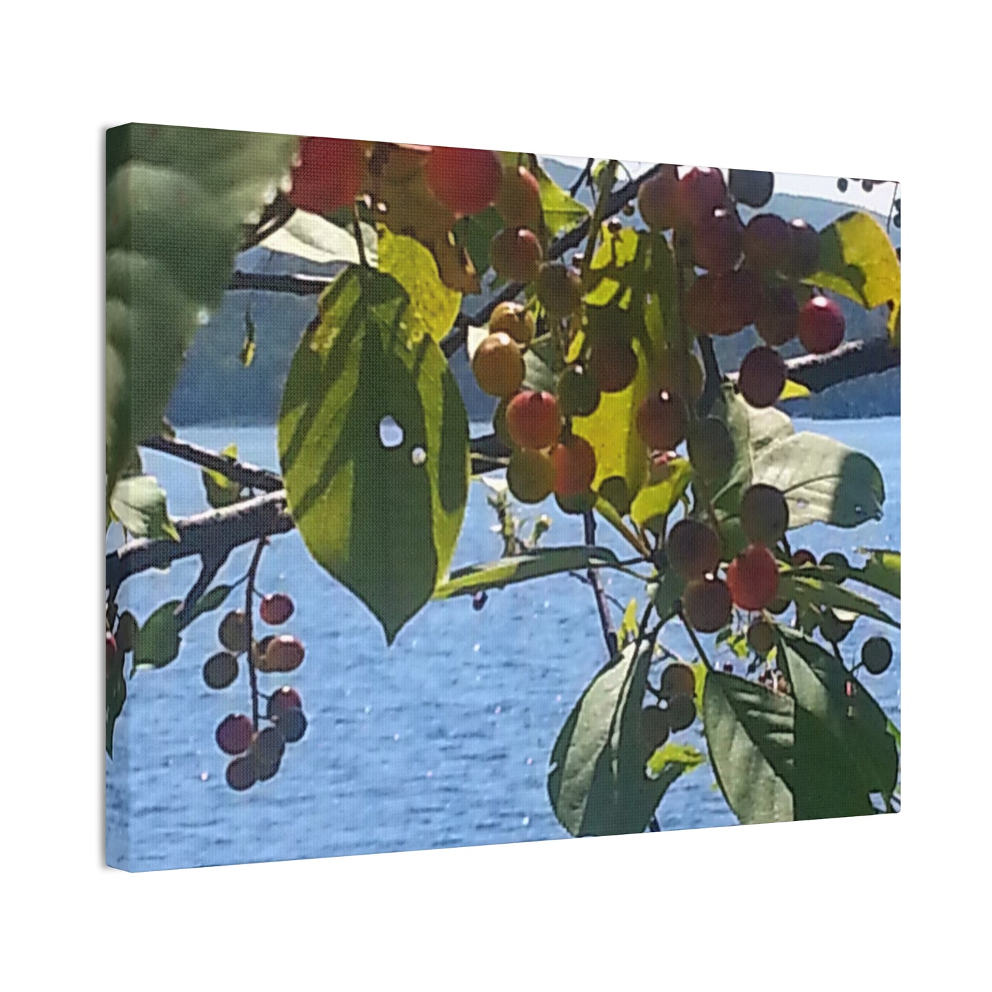 Canvas Art  Nature-Inspired - Scenic Berry Branch