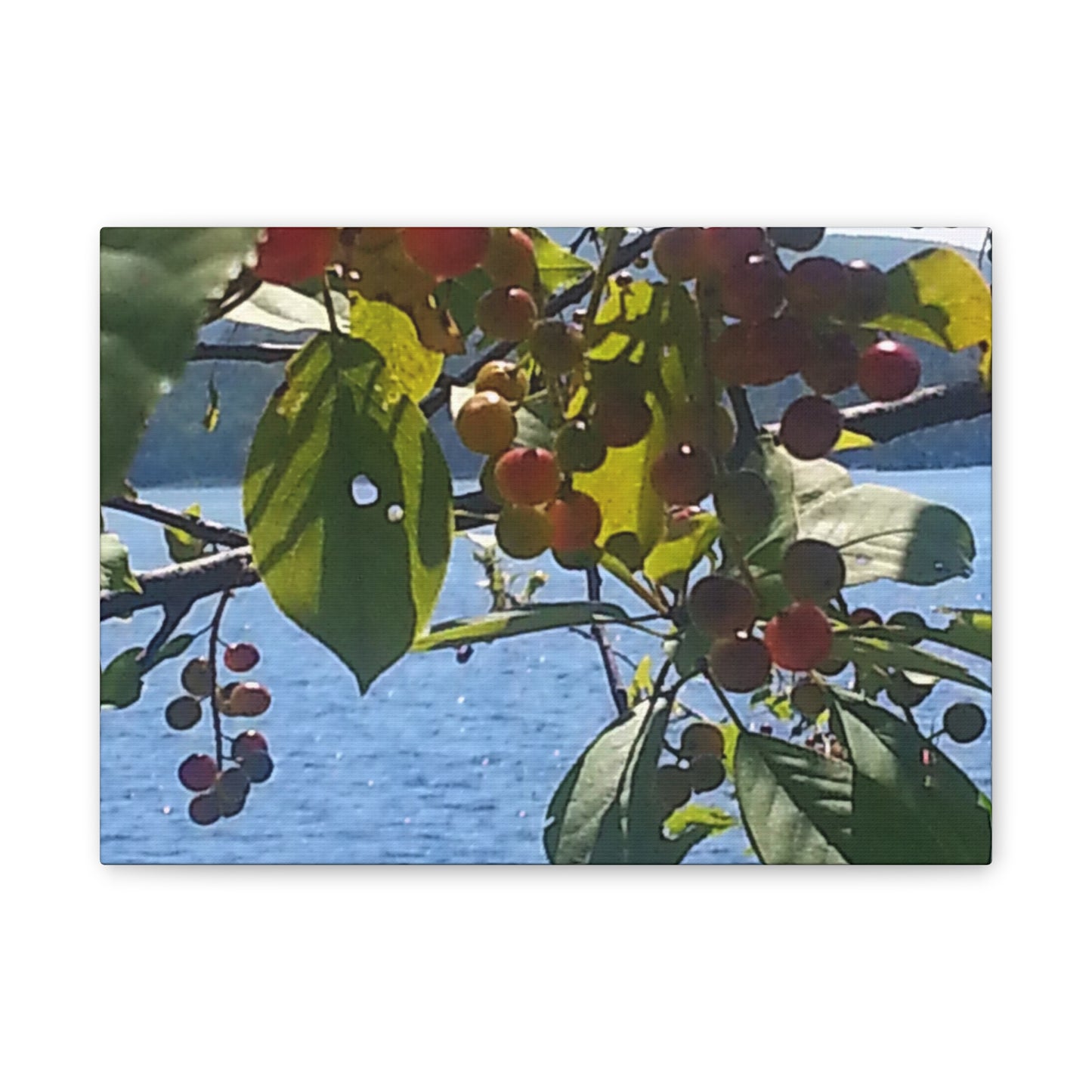 Canvas Art  Nature-Inspired - Scenic Berry Branch