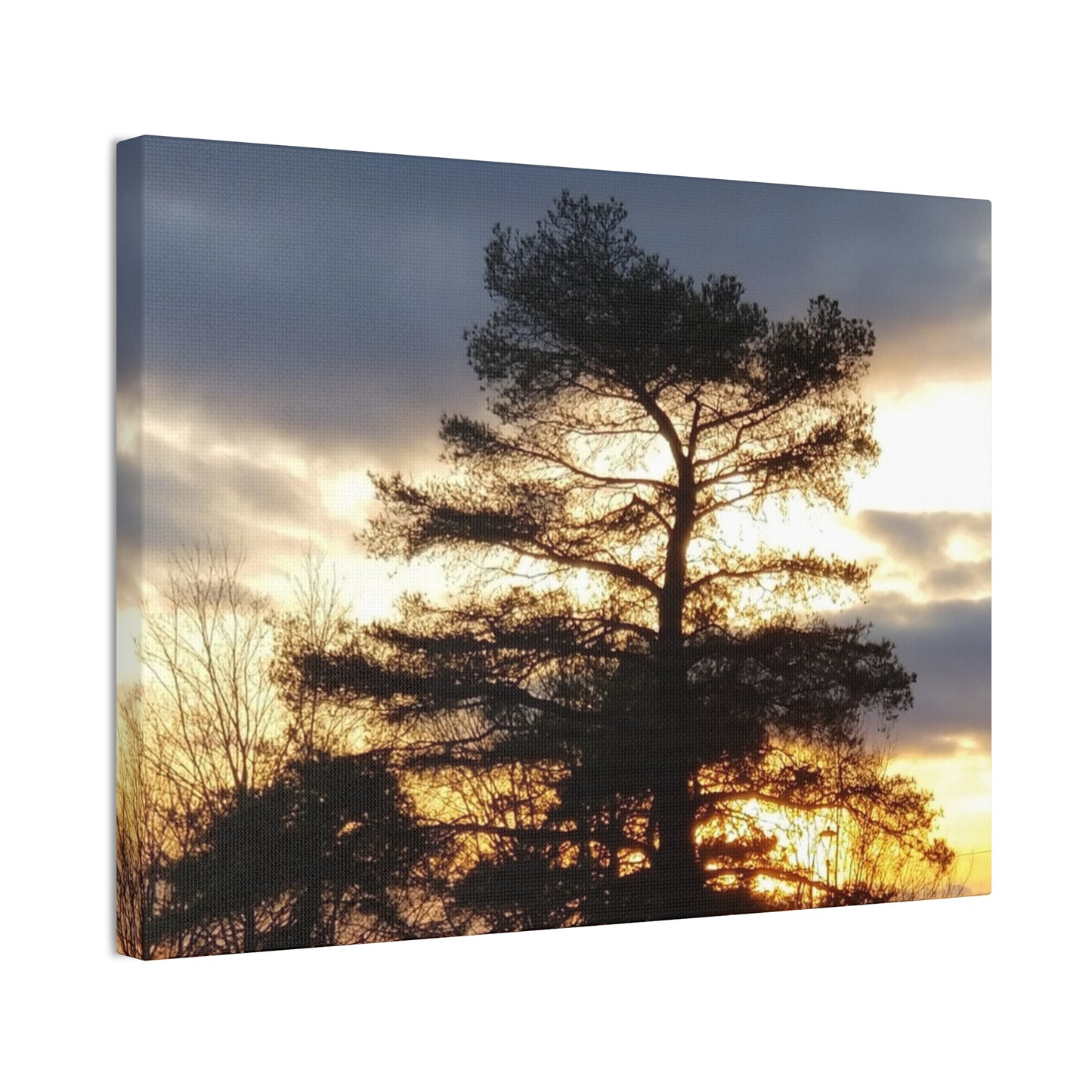 Canvas Art Print - Sunset Tree