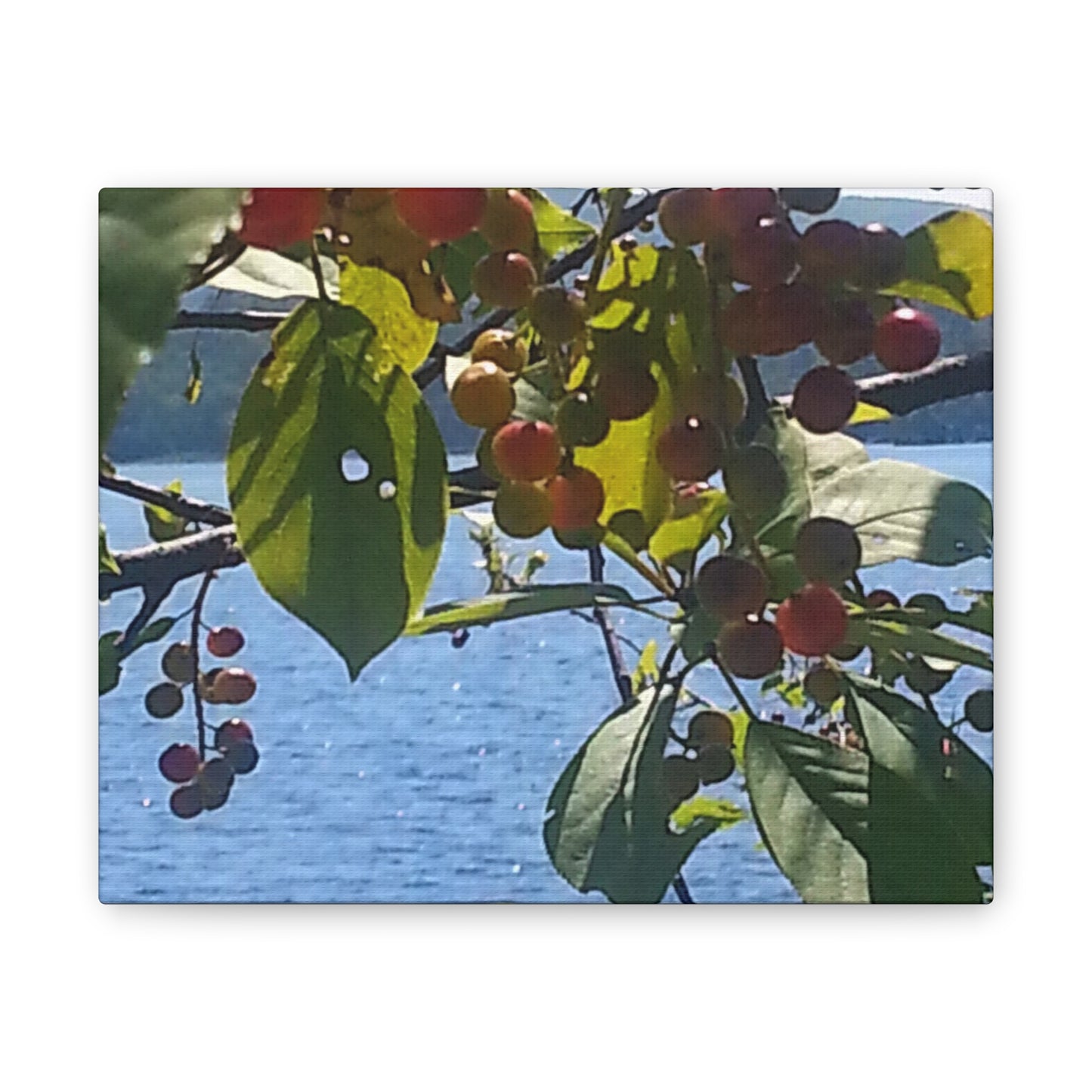 Canvas Art  Nature-Inspired - Scenic Berry Branch