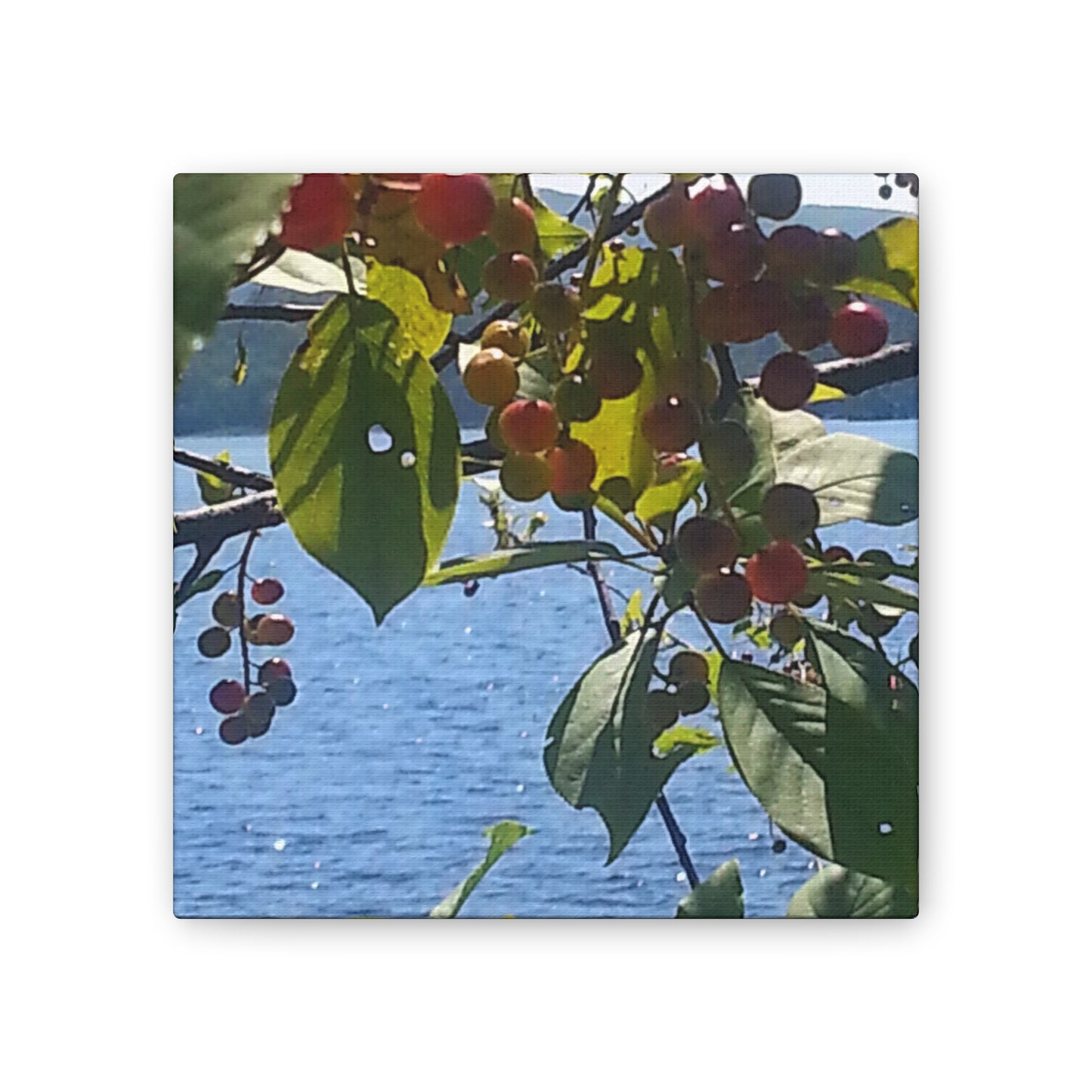 Canvas Art  Nature-Inspired - Scenic Berry Branch