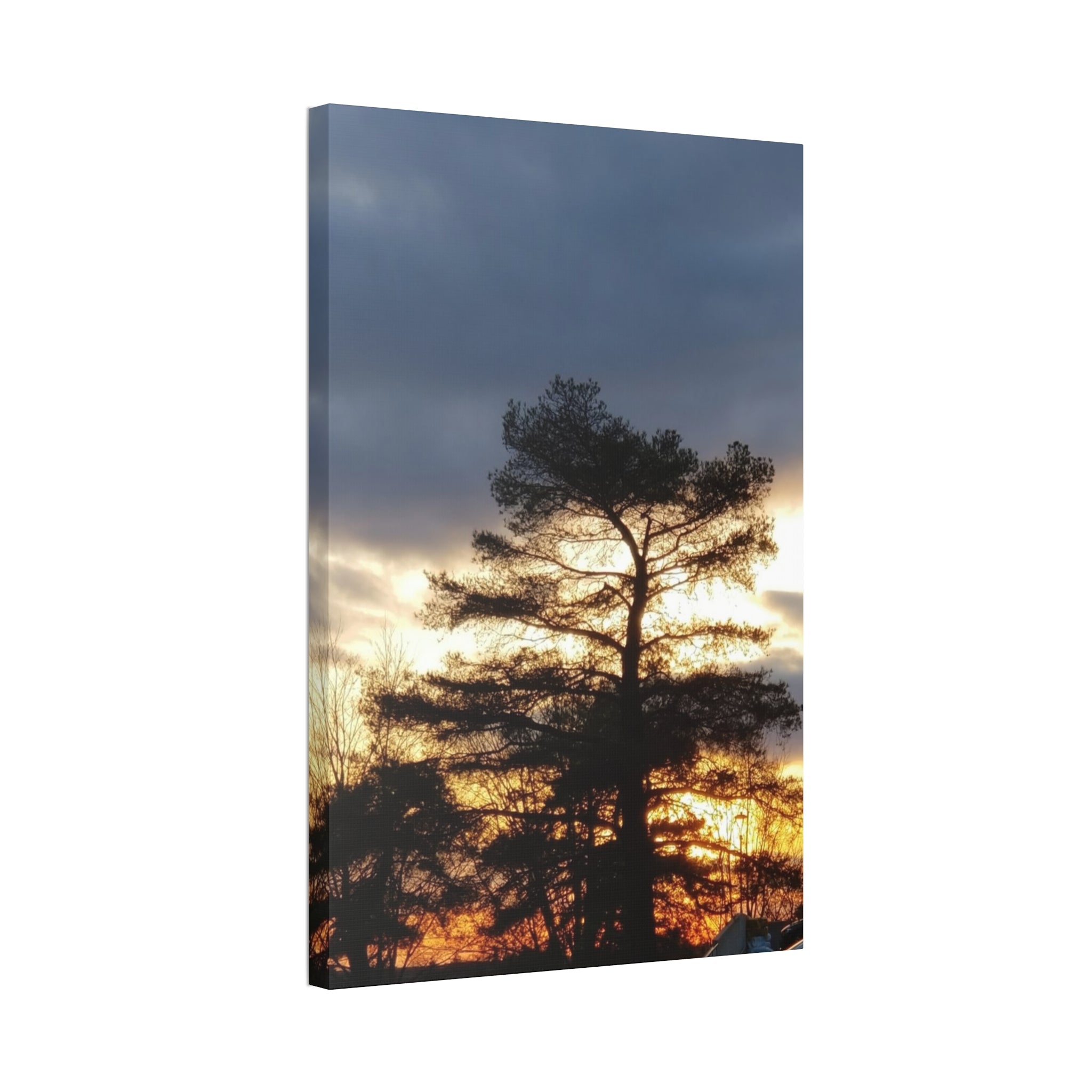 Grounded Vitality | Sunset Tree Silhouette Wall Art | The Flow Collection