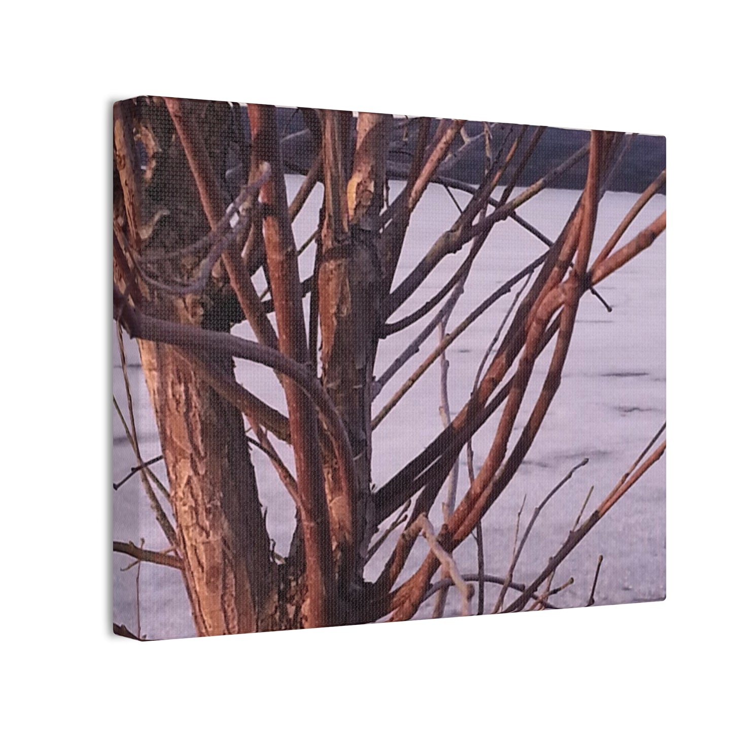 Canvas Wall Art - Nature-inspired - Serene Lake View with Bare Trees