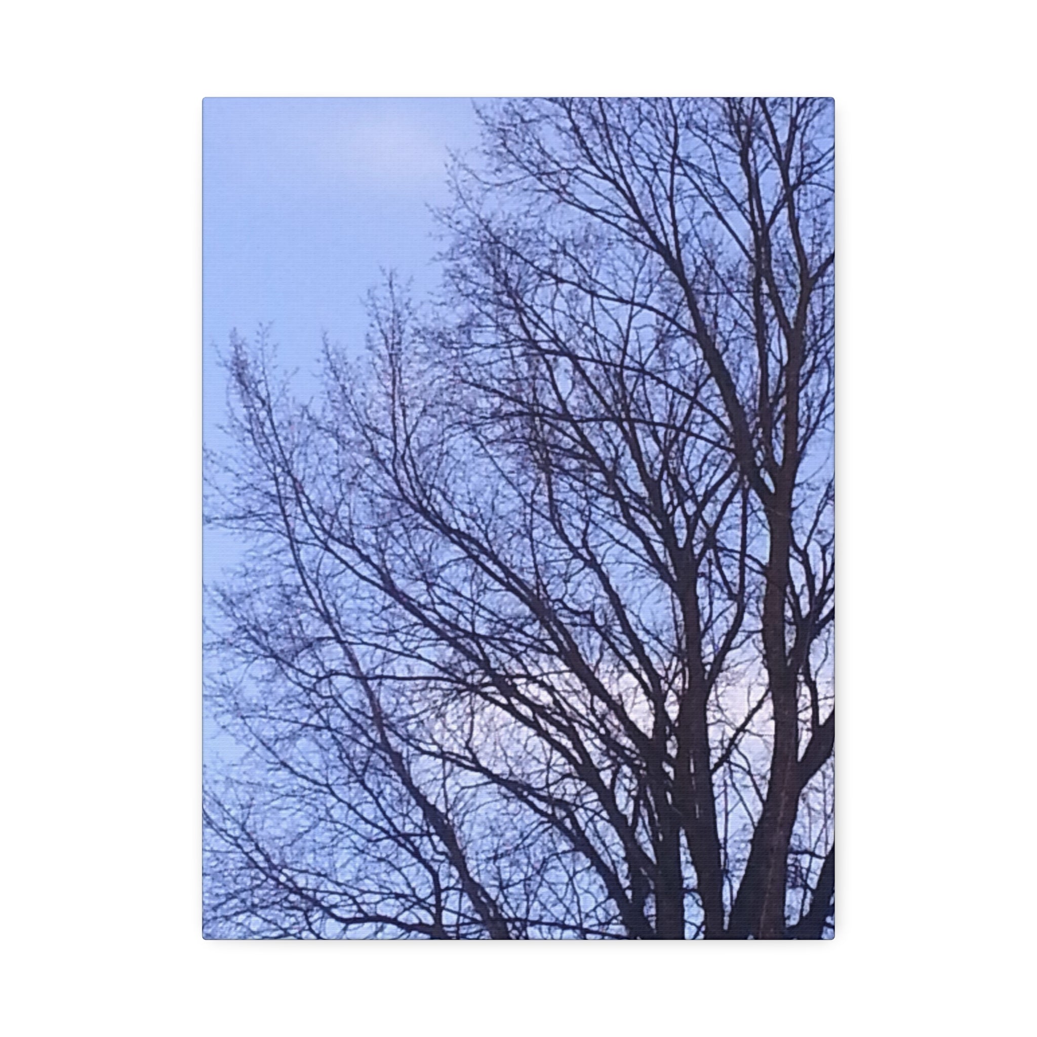 Creative Spark | Isolated Woodland Wisdom Wall Art | The Nurture Collection