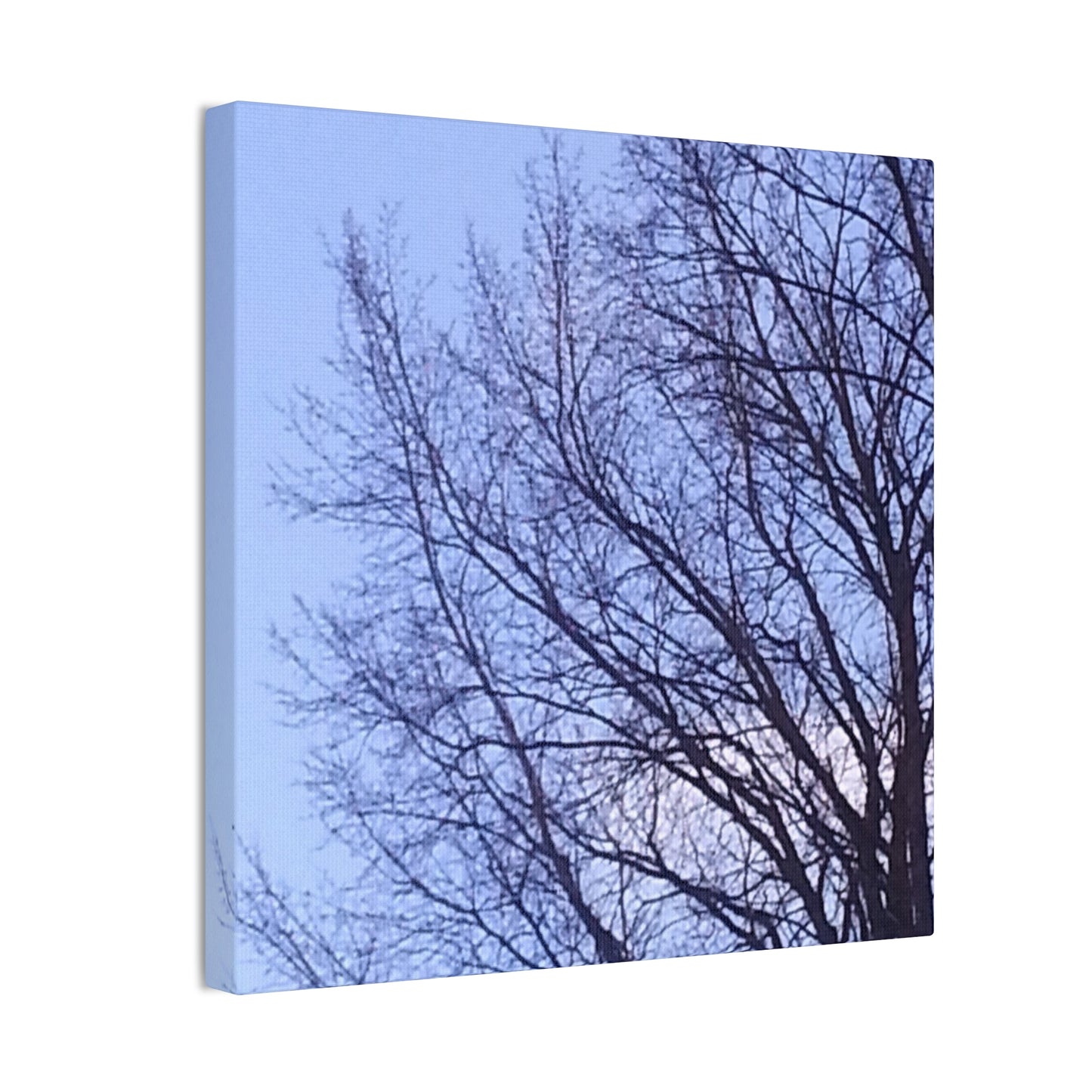 Canvas Art - Serene Tree