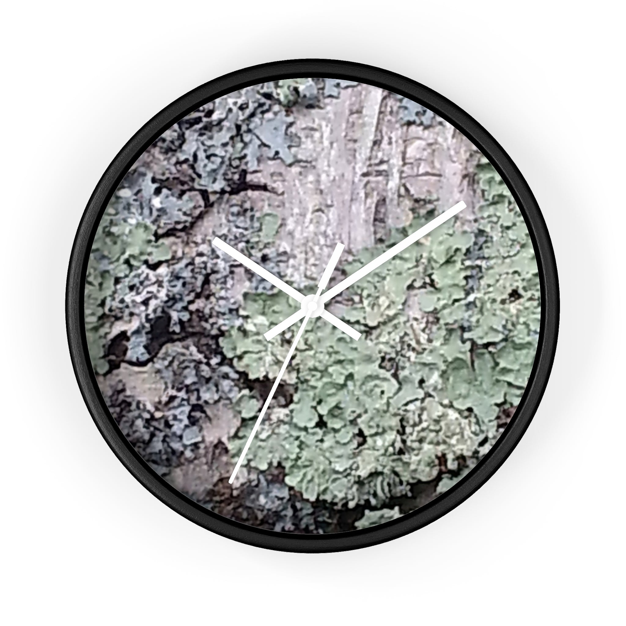 Symbiotic Veneer | Intricate Lichen Growth Silent Wall Clock | The Rooted Collection