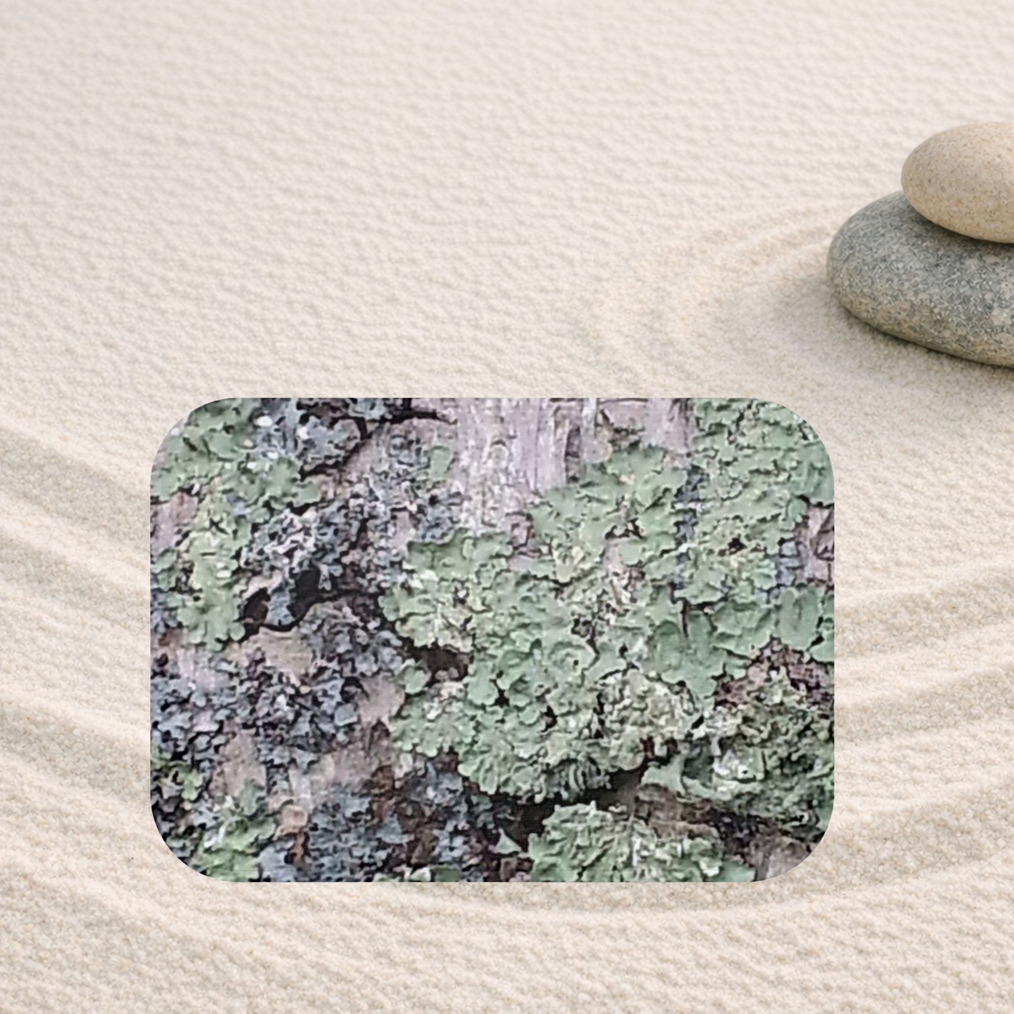 Grounded Moss | Lichen Bath Rug | The Rooted Collection
