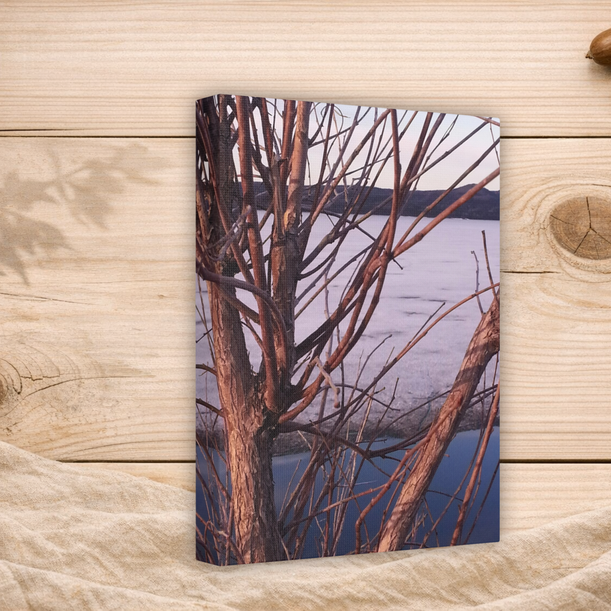Primal Frost | Frozen Shoreline Wall Art | The Inspiration Collection