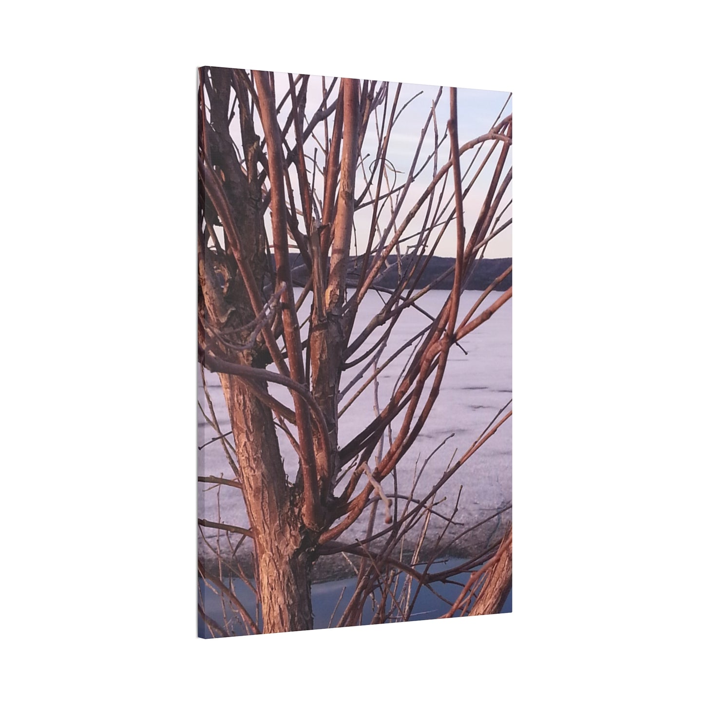 Canvas Wall Art - Nature-inspired - Serene Lake View with Bare Trees