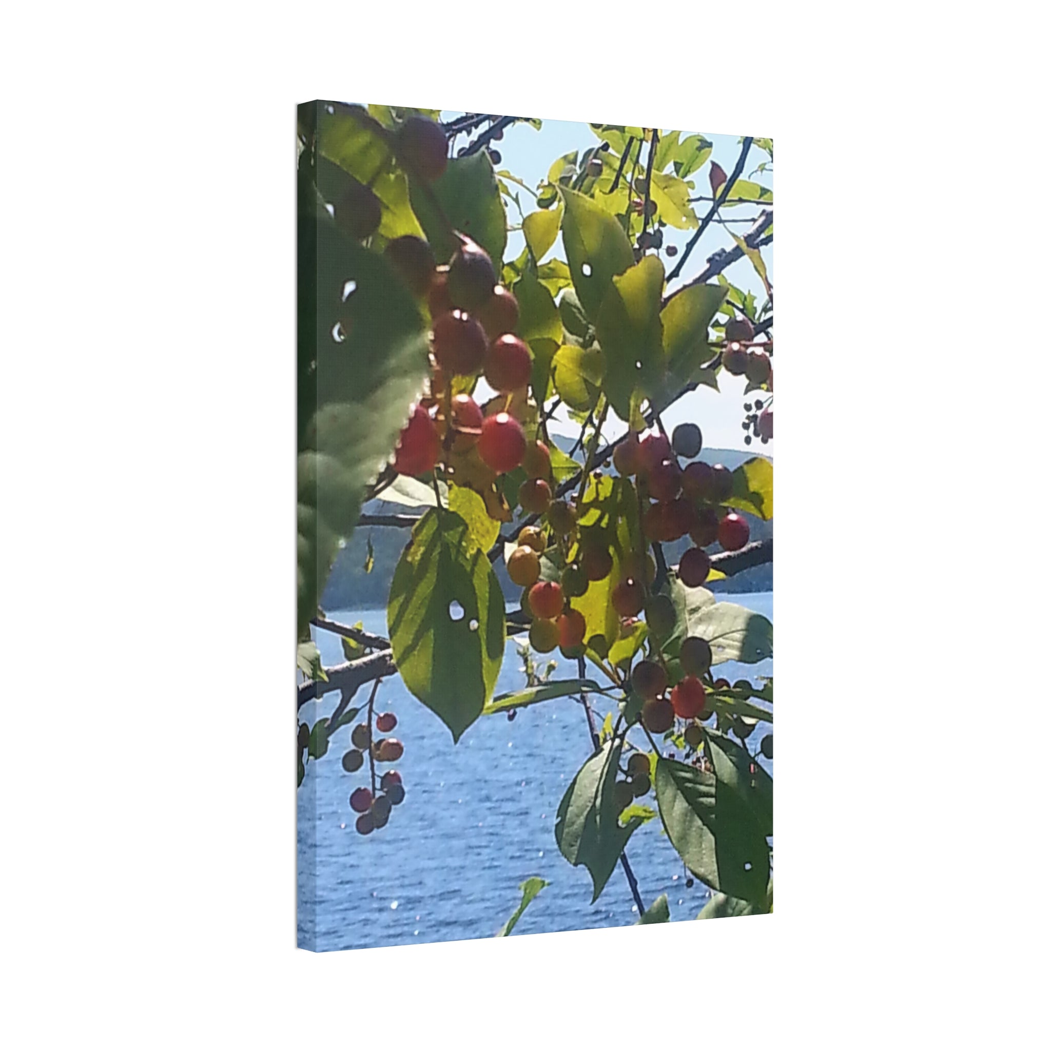 Creative Branch | Bold Organic Current Wall Art | The Flow Collection