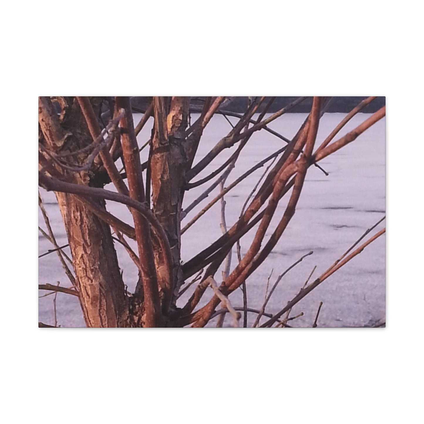 Canvas Wall Art - Nature-inspired - Serene Lake View with Bare Trees