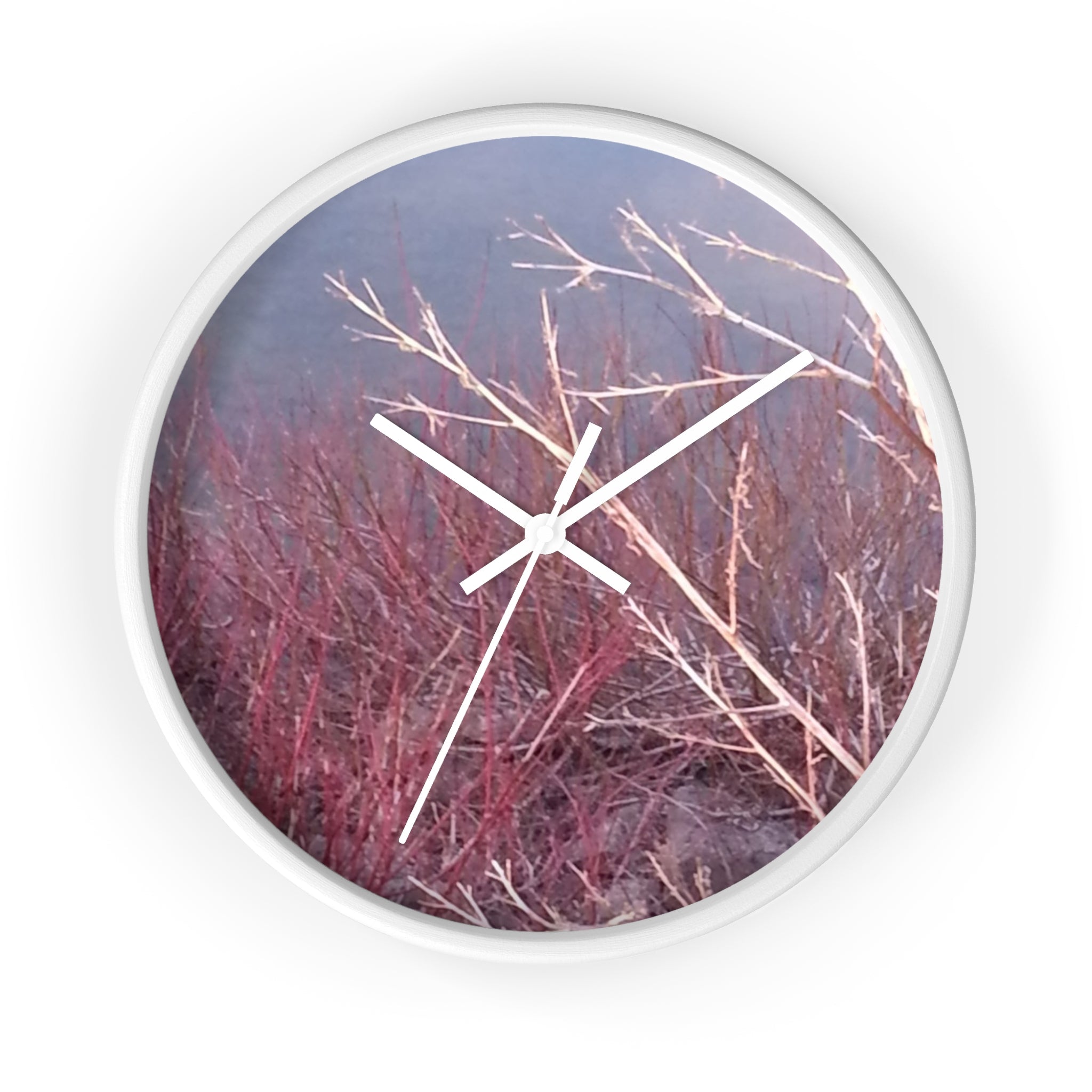 Vibrant Chronos | Radiant Scarlet Growth Silent Wall Clock | The Inspiration Collection